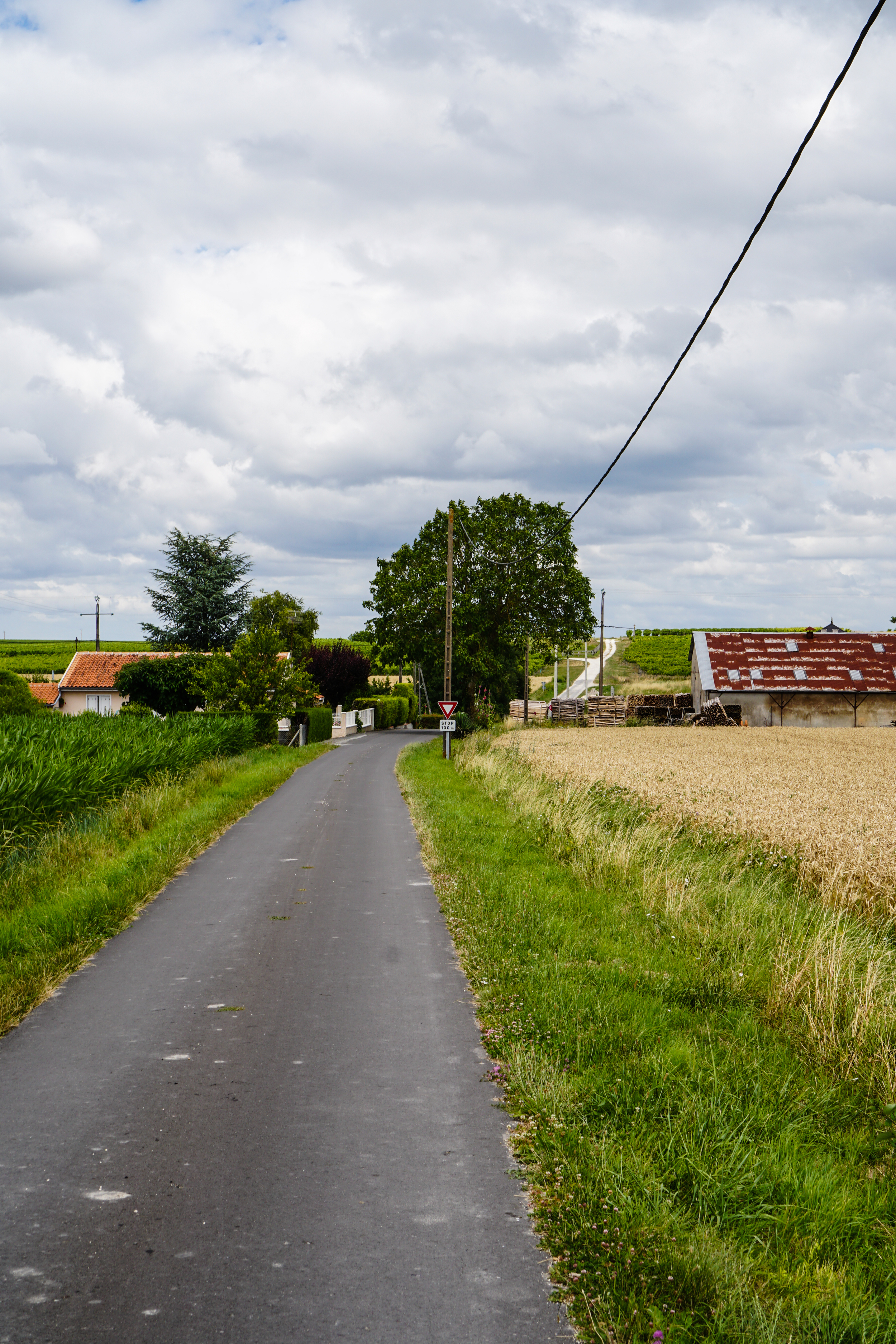 France (44 of 50).jpg