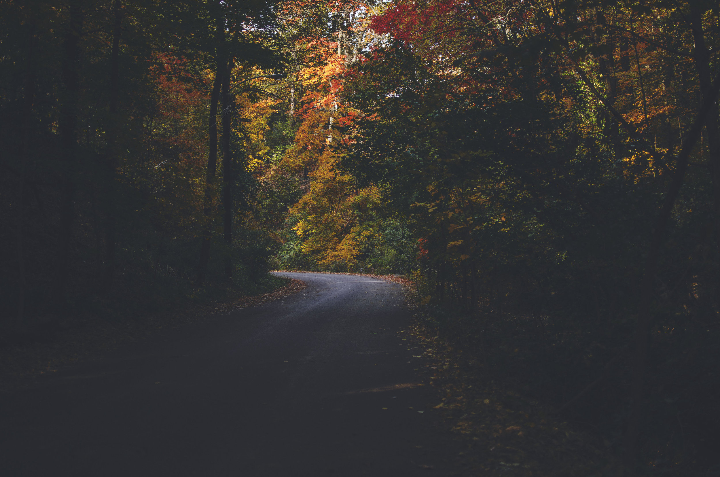M Burney Photography