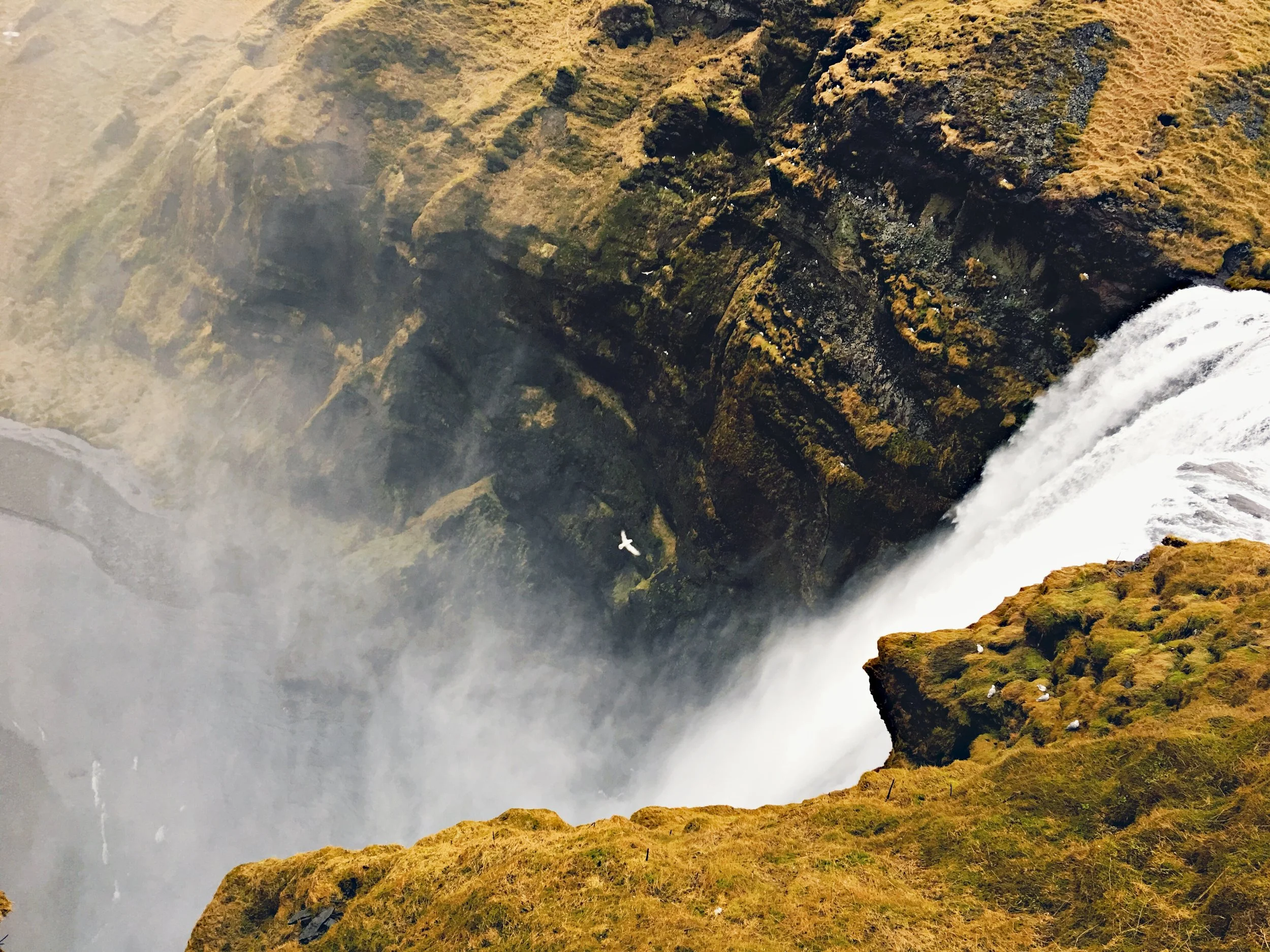 Look at Eldin in Iceland | Day Two