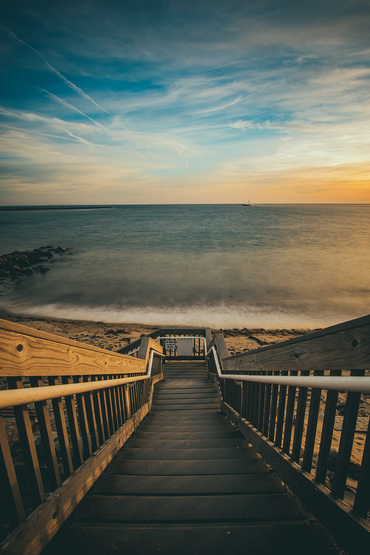 The Folks | Corey Favino