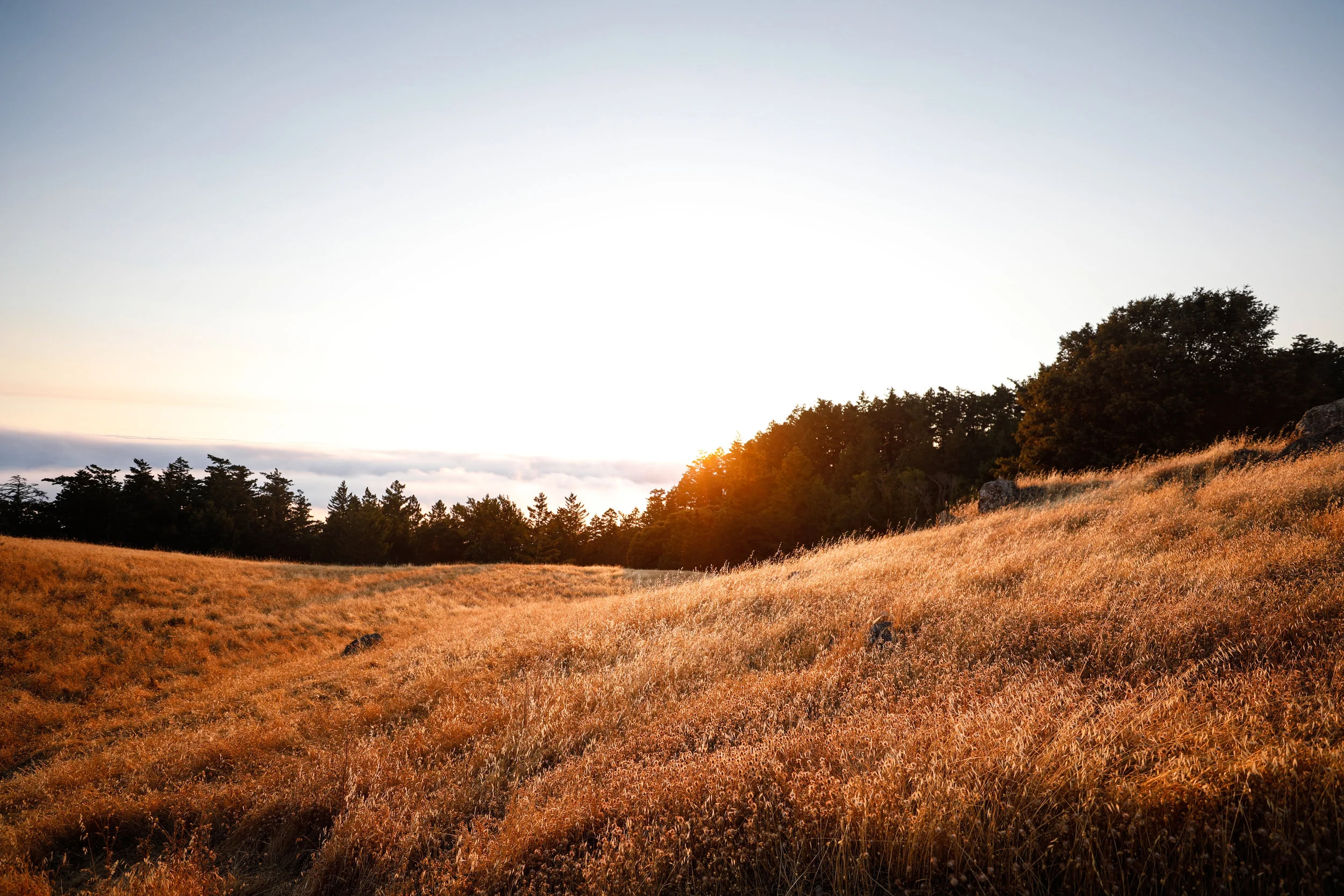 Mount Tamalpais — folk