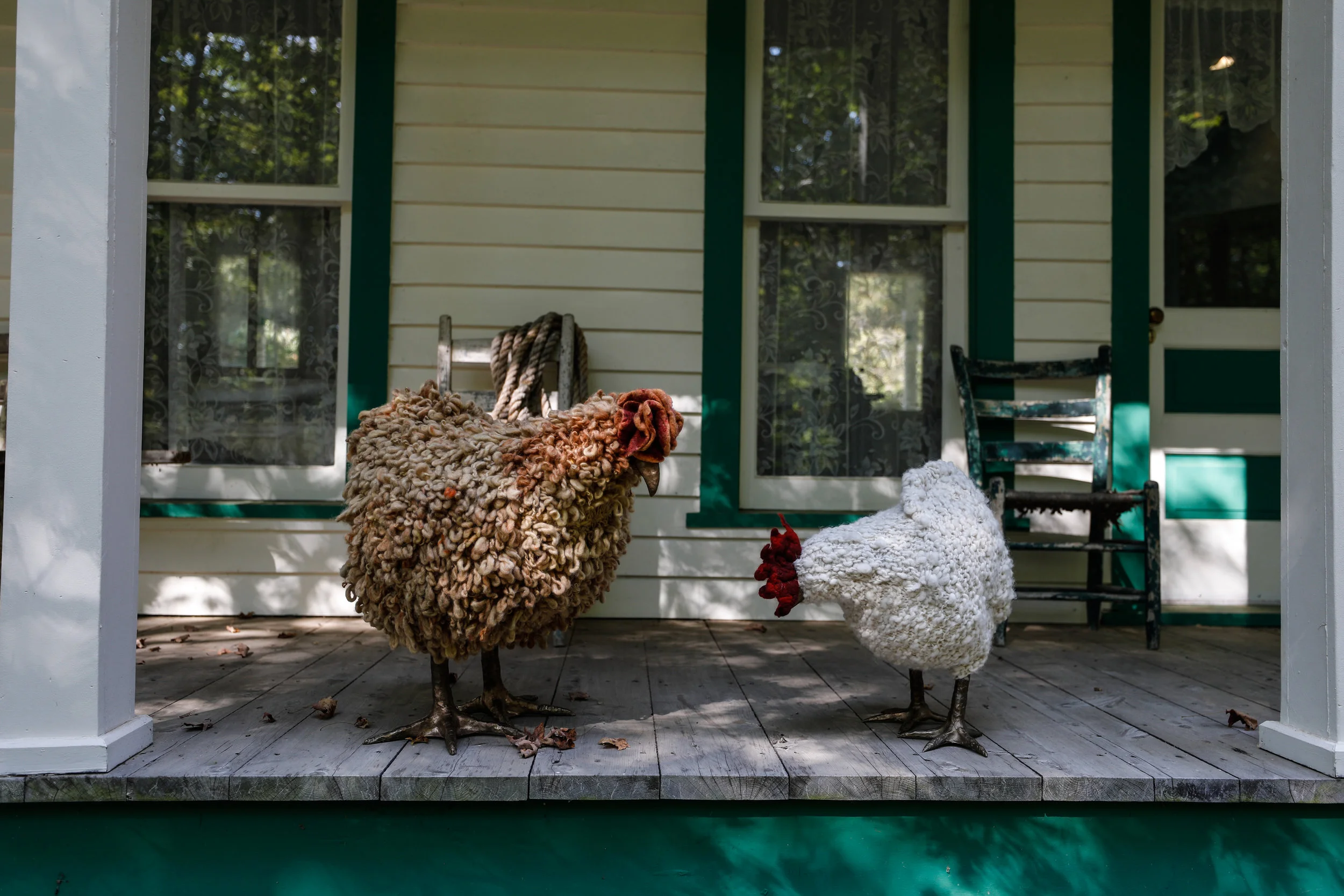 Chicken-9473.jpg