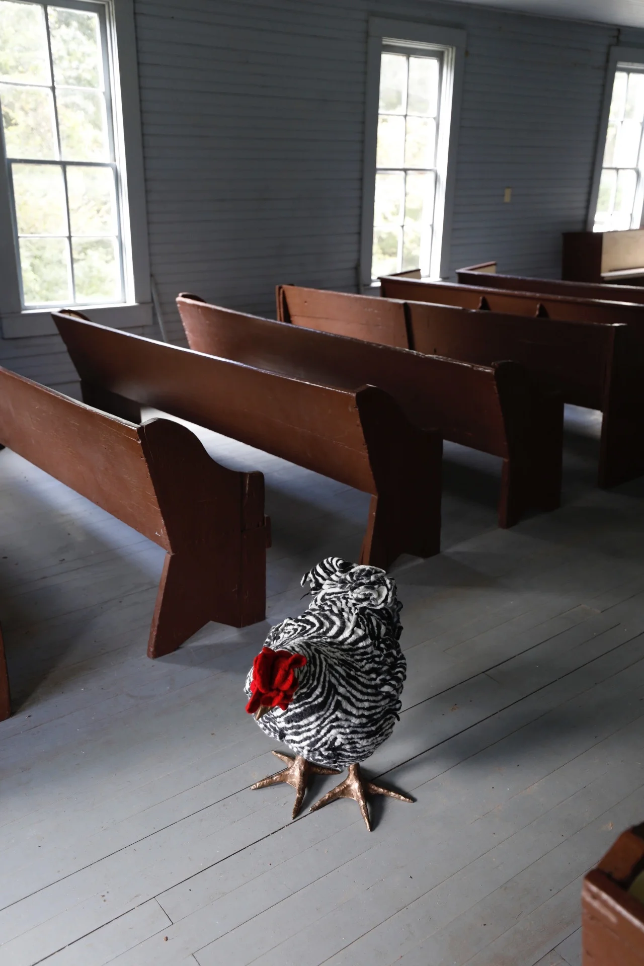 Meet The City Girl Farm {and her chickens}