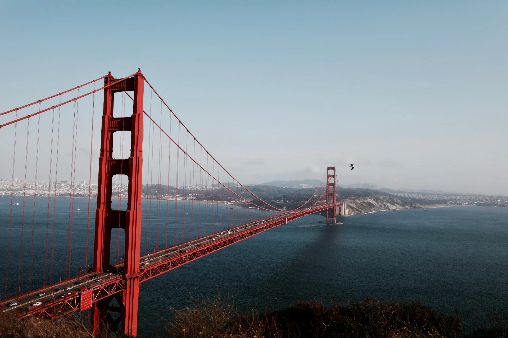The San Francisco Guide to Nature