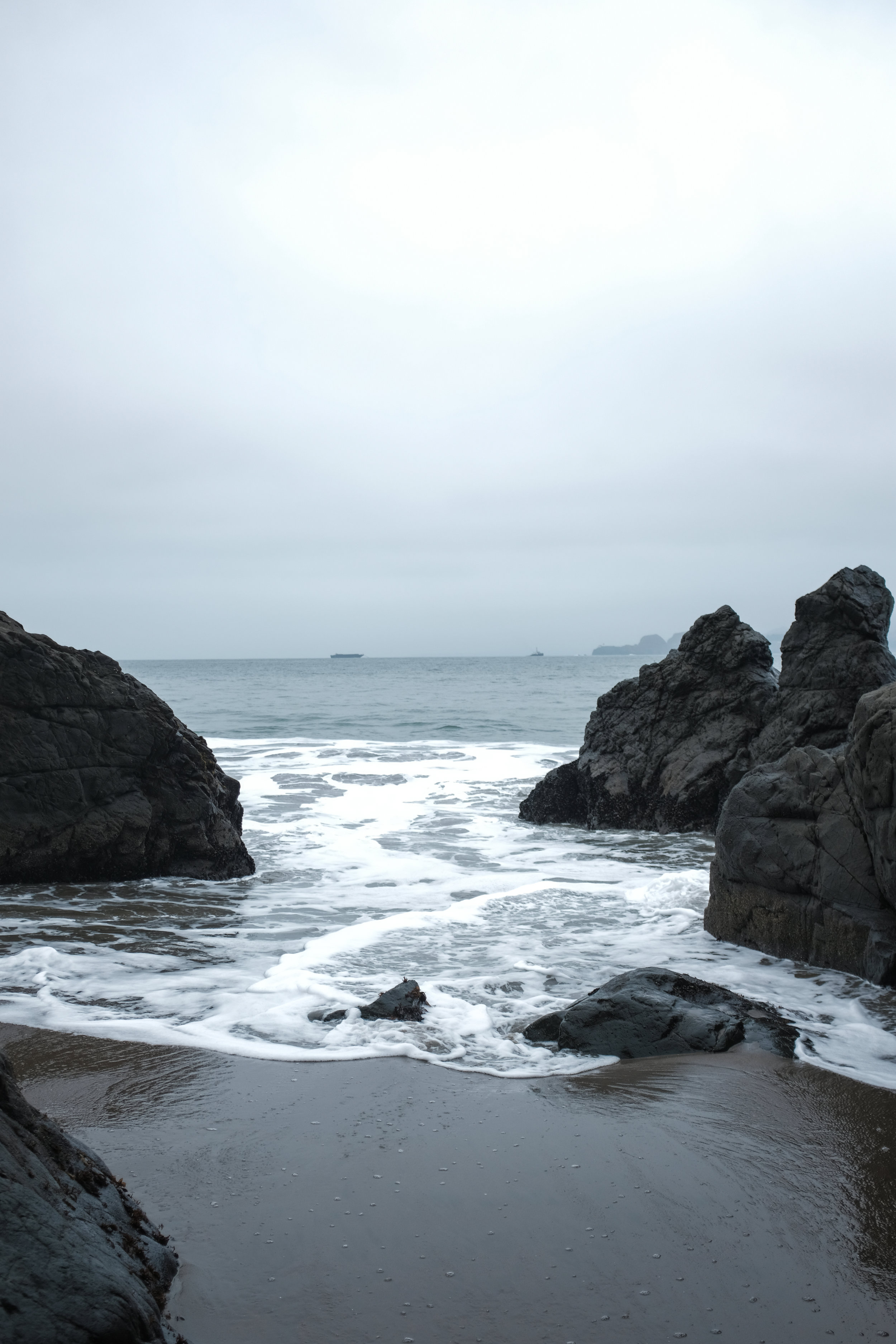 SFO (85 of 107).jpg