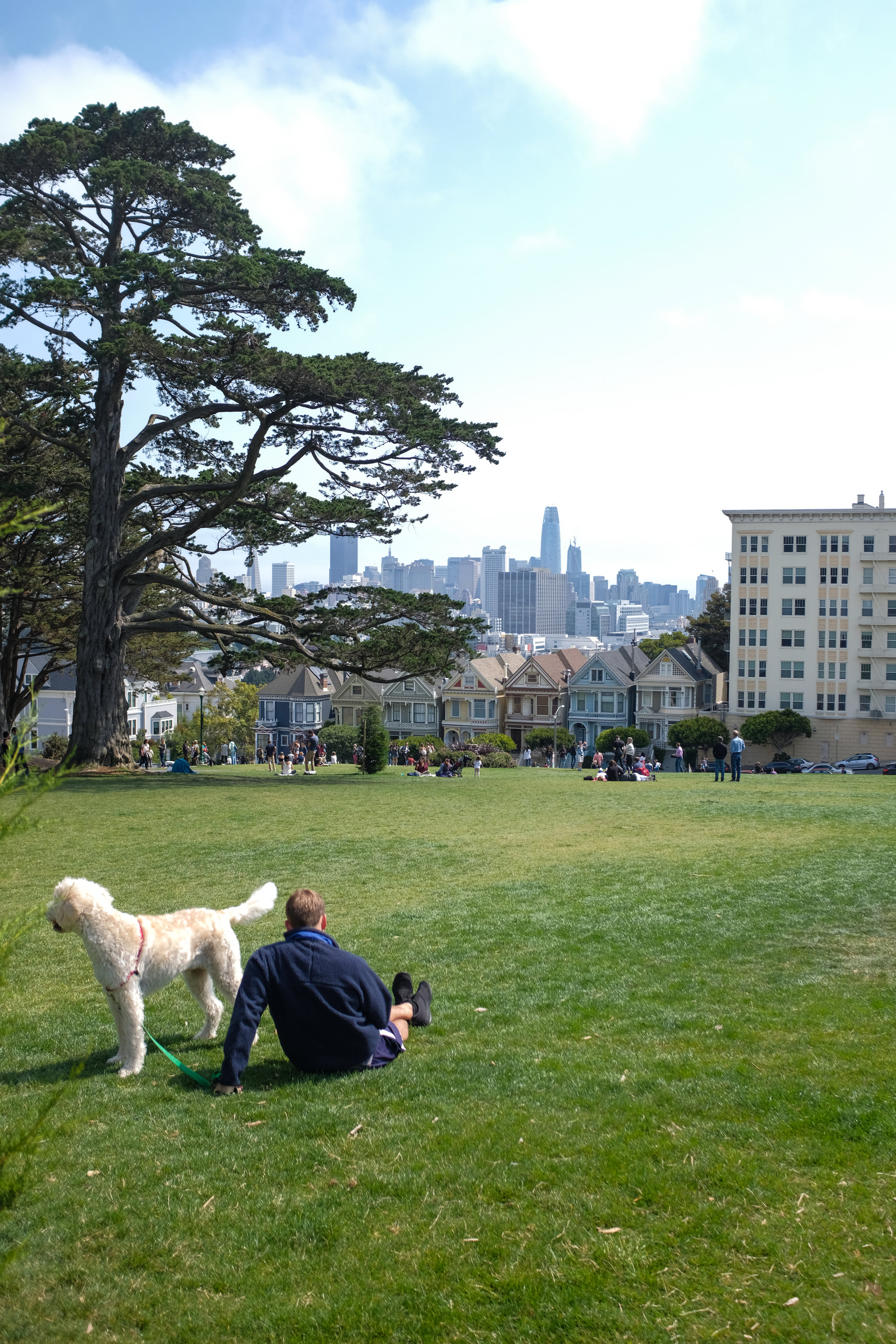 SFO (92 of 107).jpg