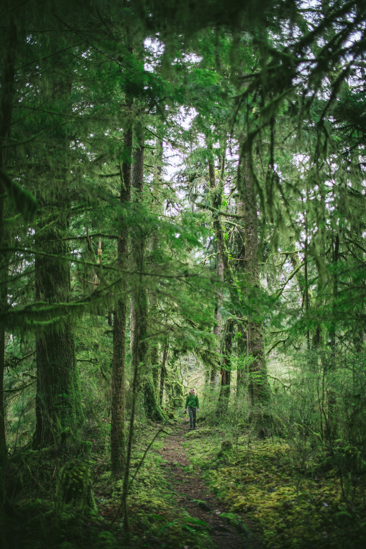 Olympic-National-Park-by-Eva-Kosmas-Flores-19-1-768x1152@2x.jpg