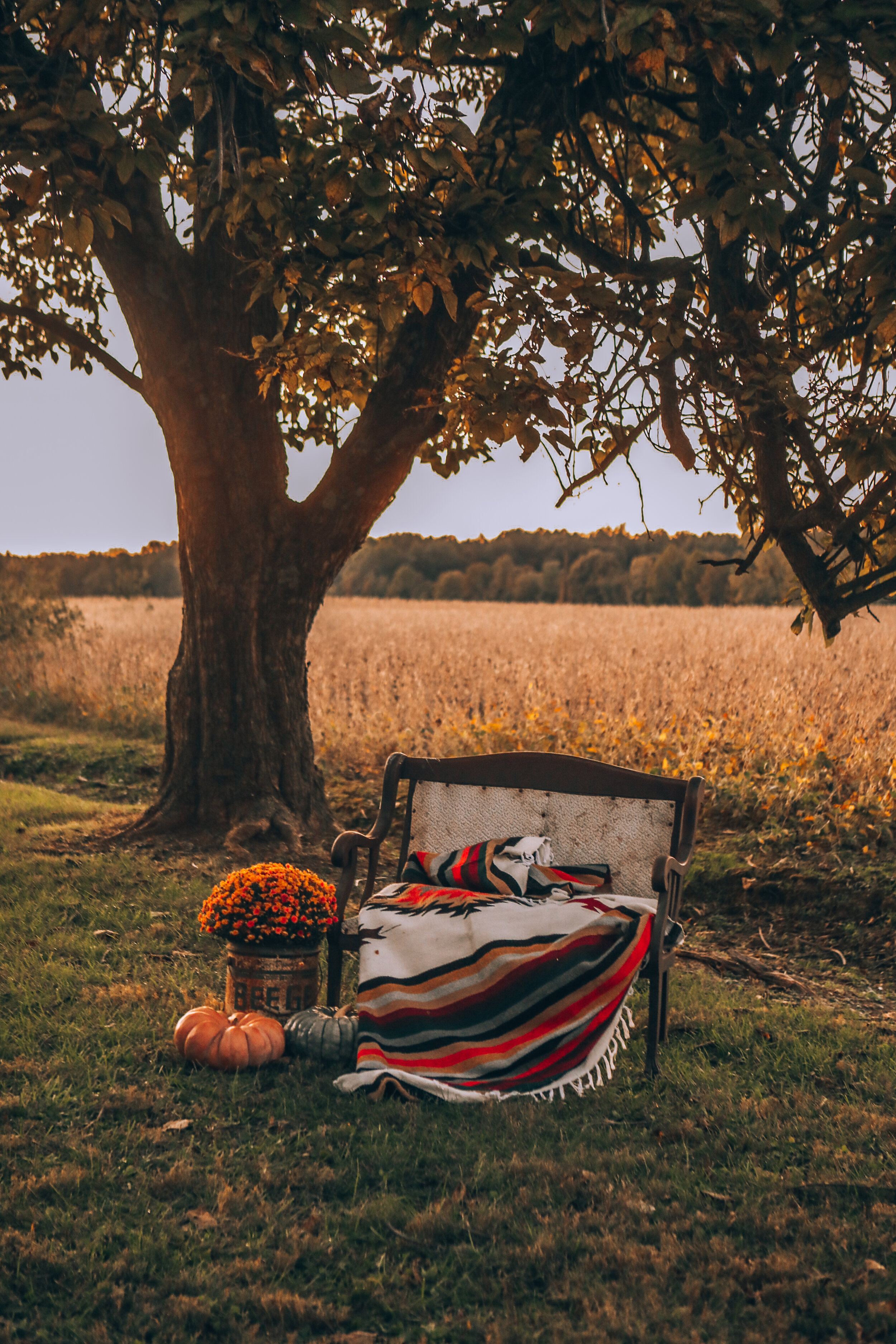  This was our “photo booth” for the event. The settee  is for sale! The blanket is by Tribe and True. The old can I found in the barn twenty years ago and used to use for pumpkin displays.  