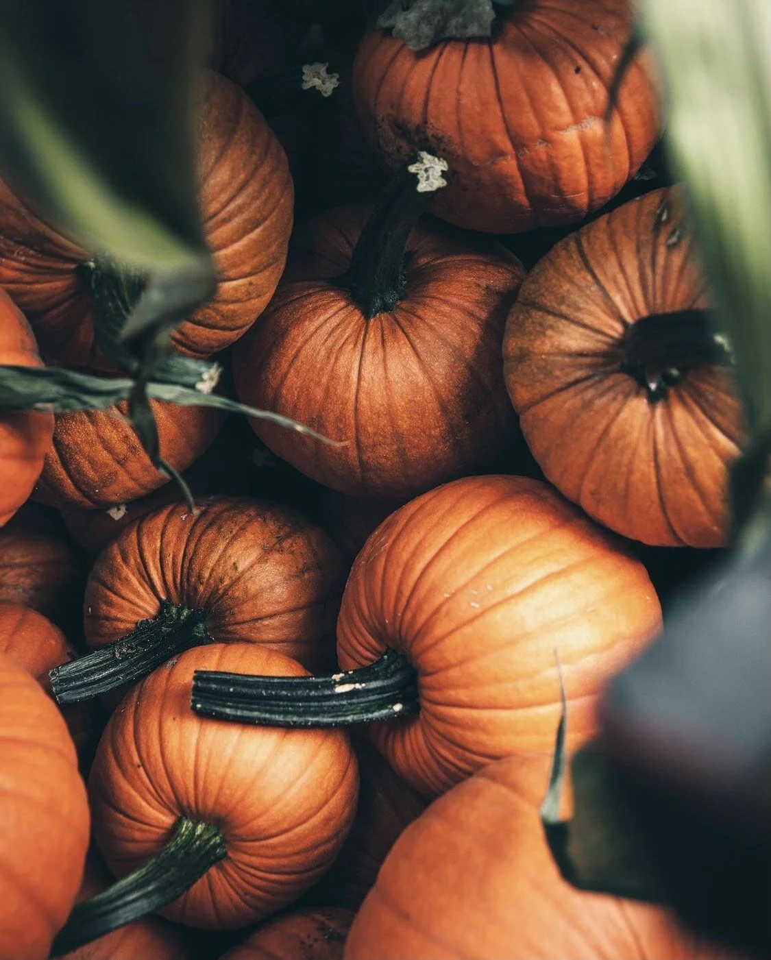 Thursdays Fall Roundup