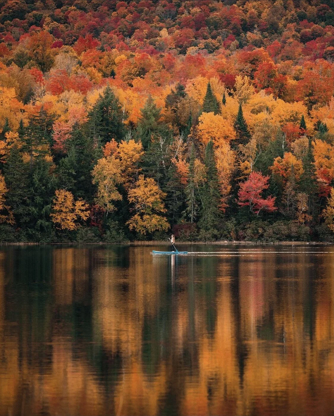 Wednesdays and Landscapes