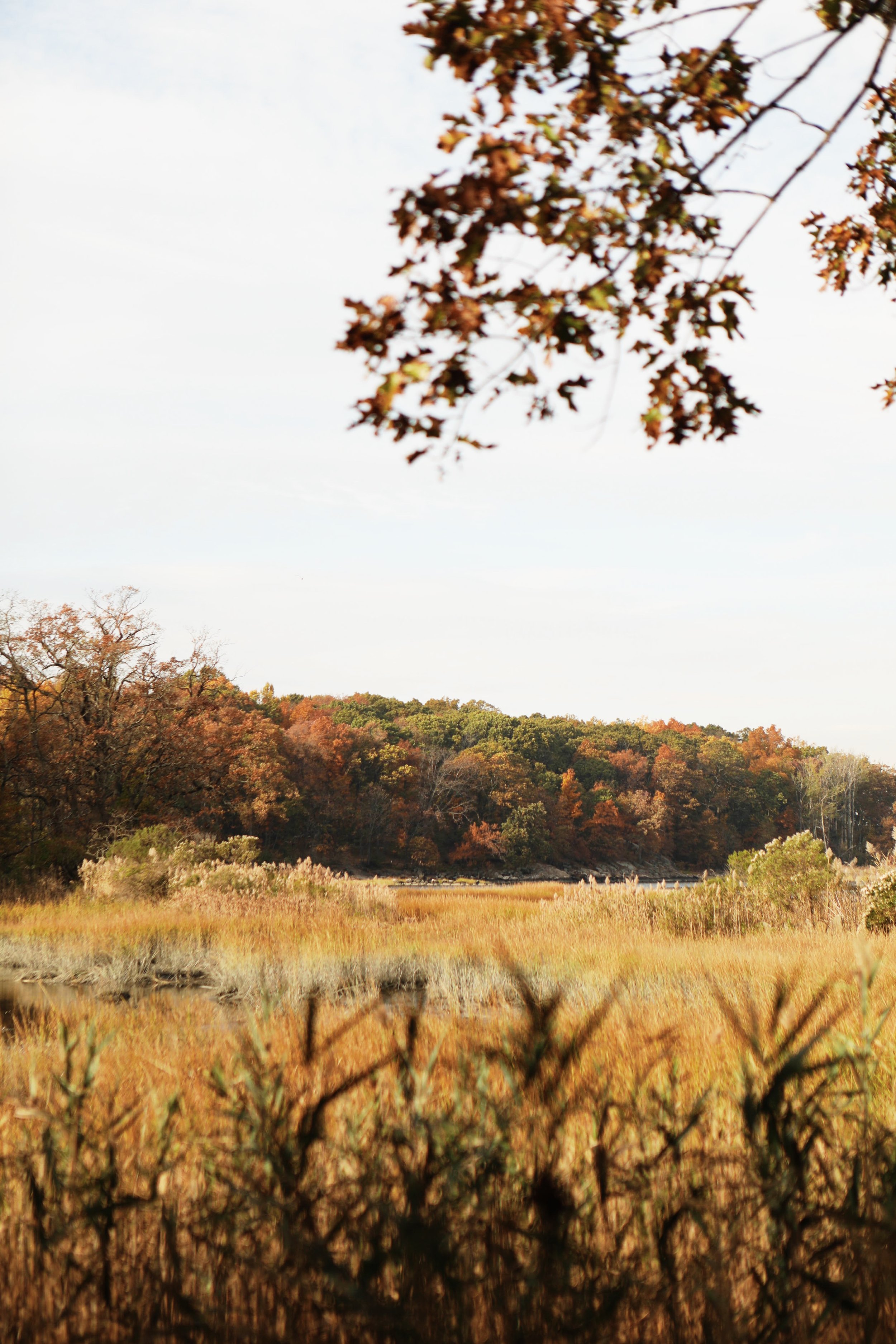 Late Autumn at Orchard Beach: An Essay