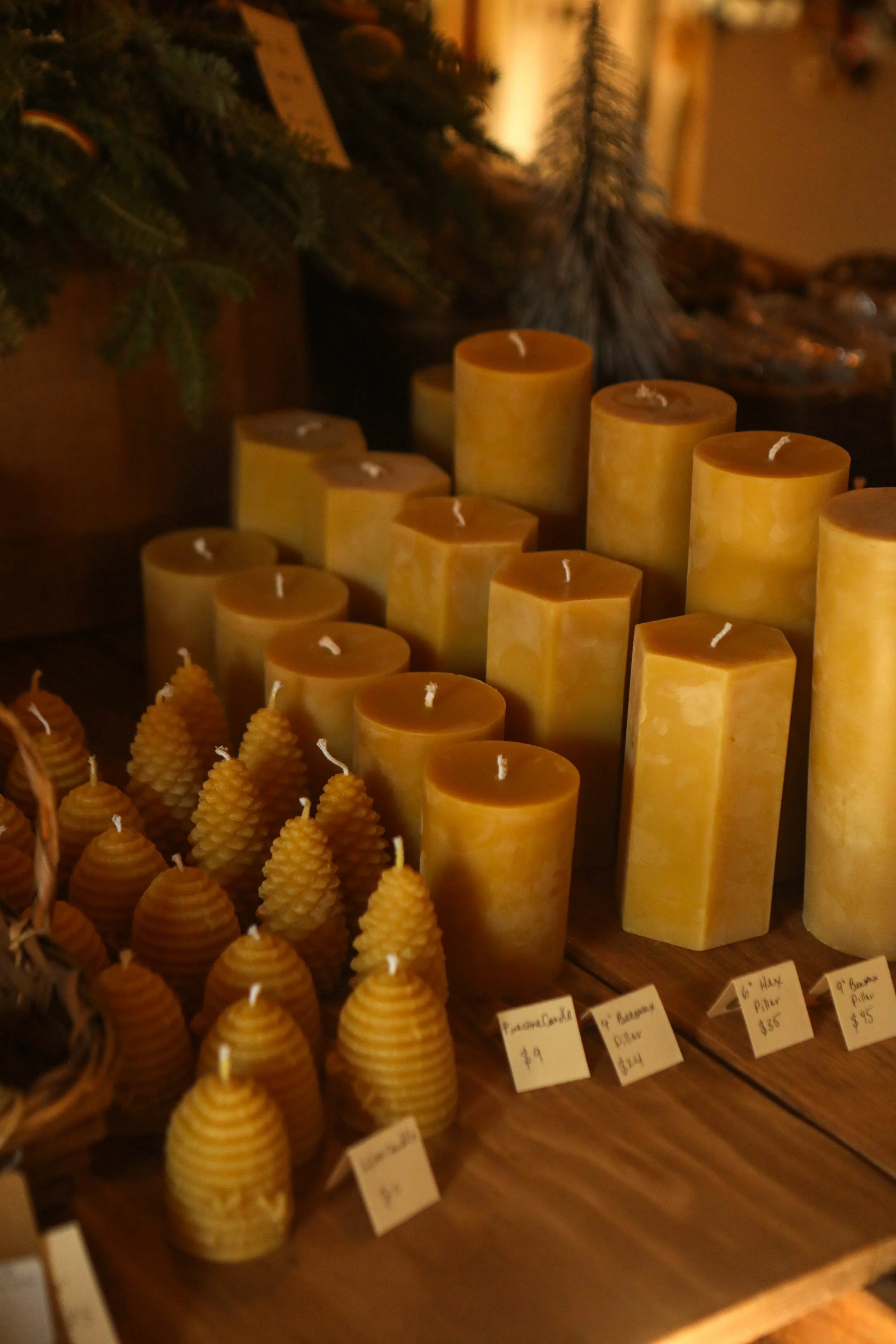 Birthday2023 (45 of 67).JPG