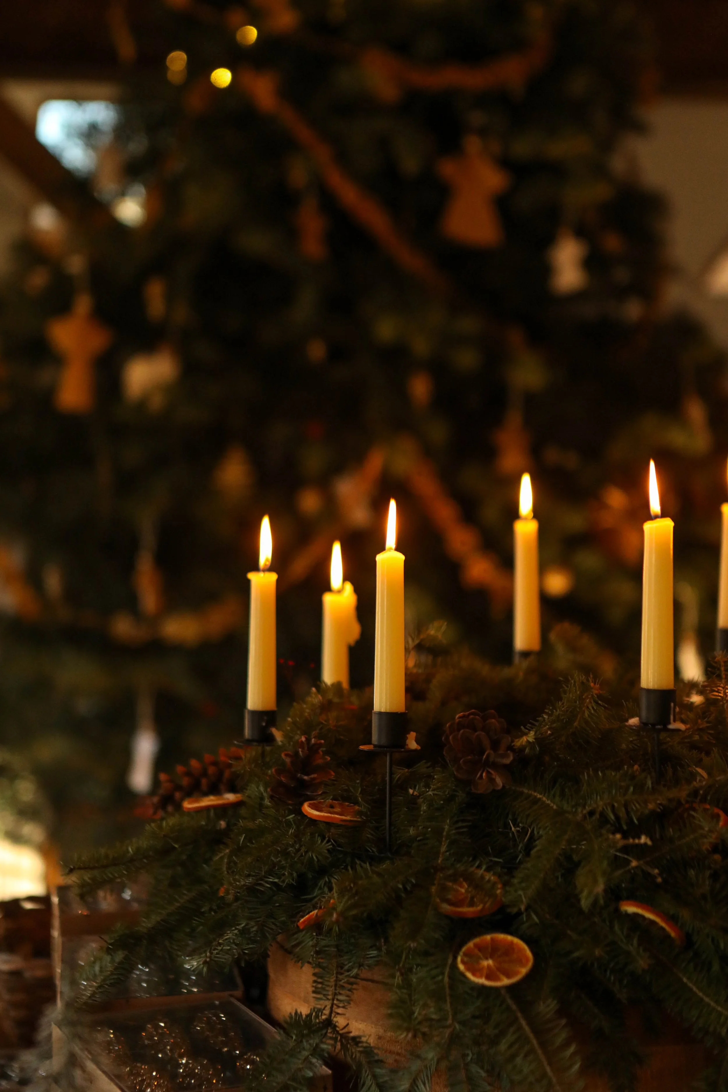 Birthday2023 (46 of 67).JPG