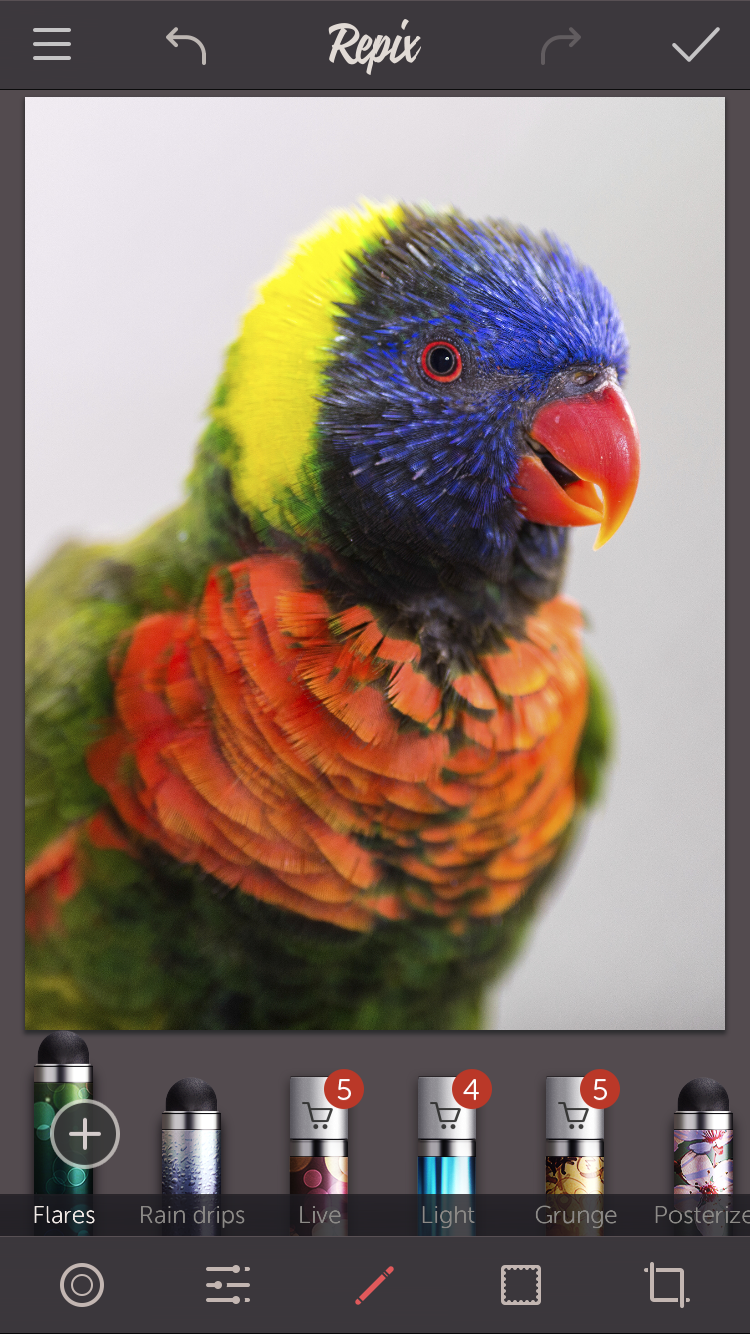 IMG_4164.PNG
