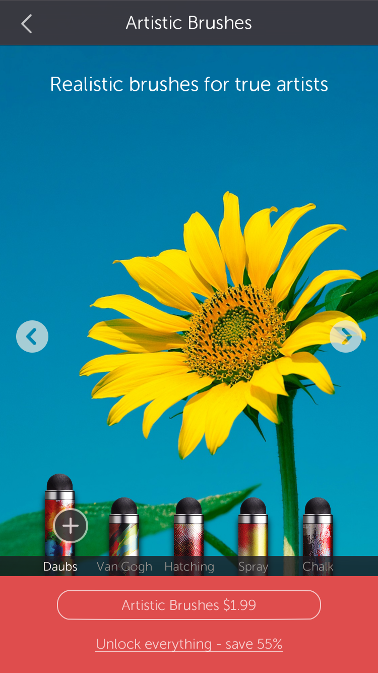 IMG_4167.PNG