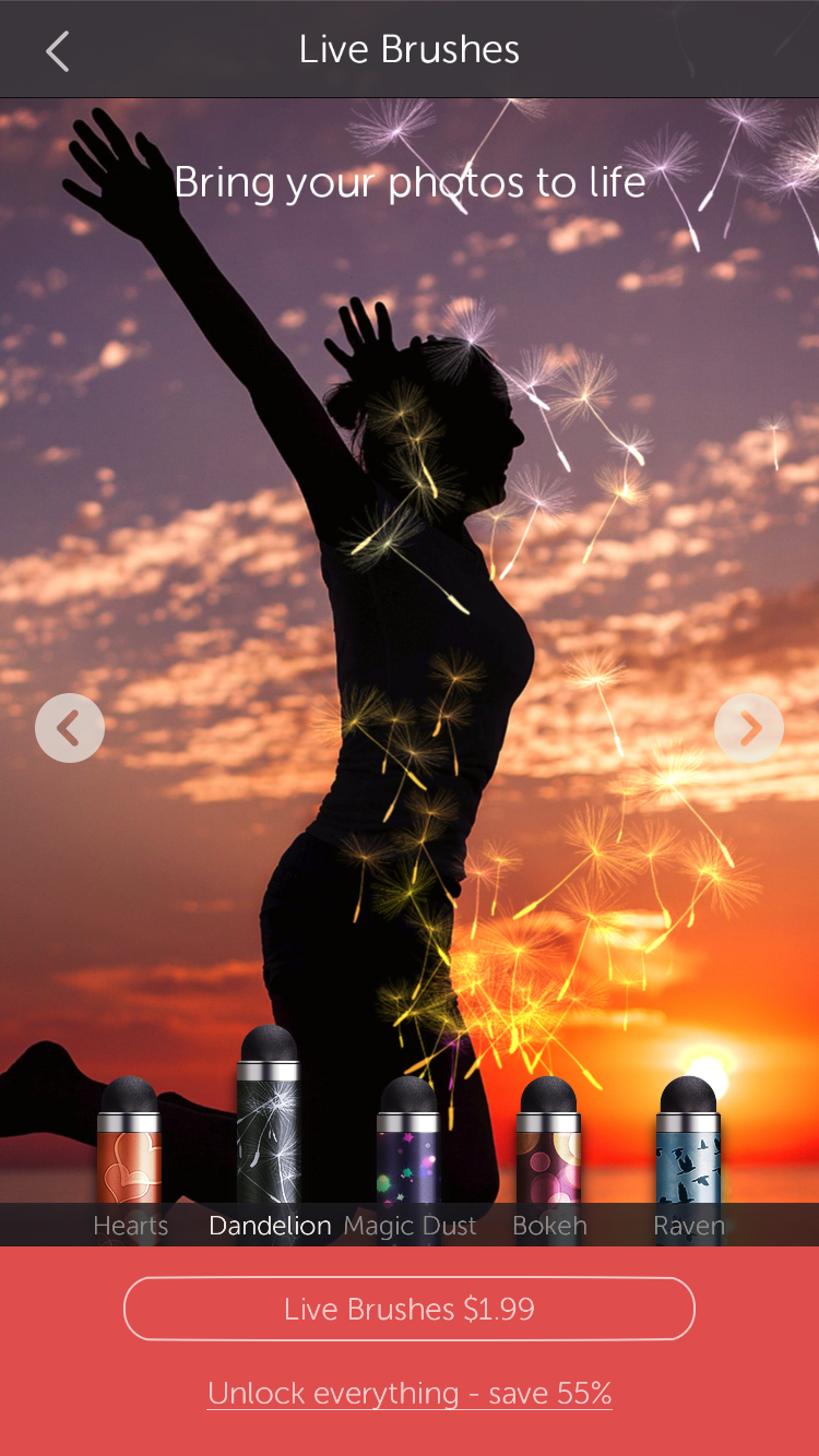IMG_4172.PNG