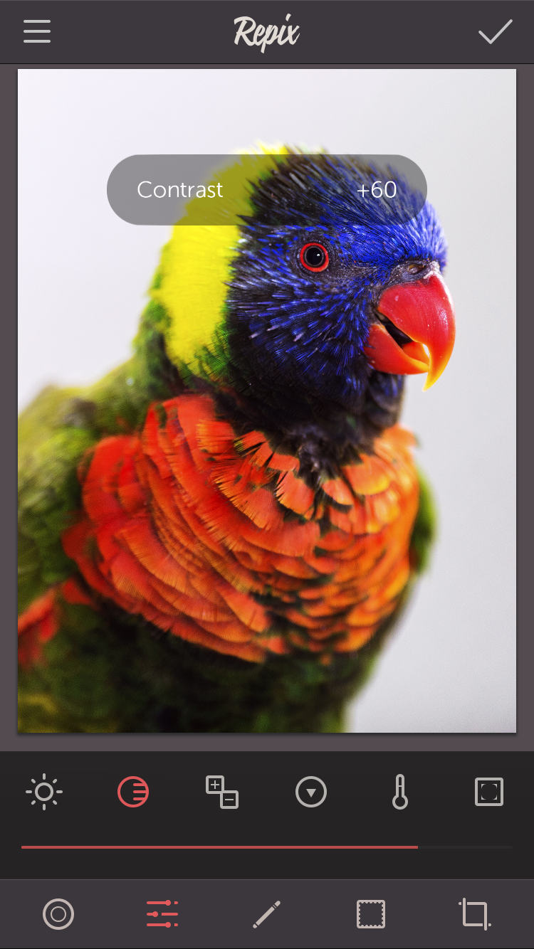 IMG_4175.PNG