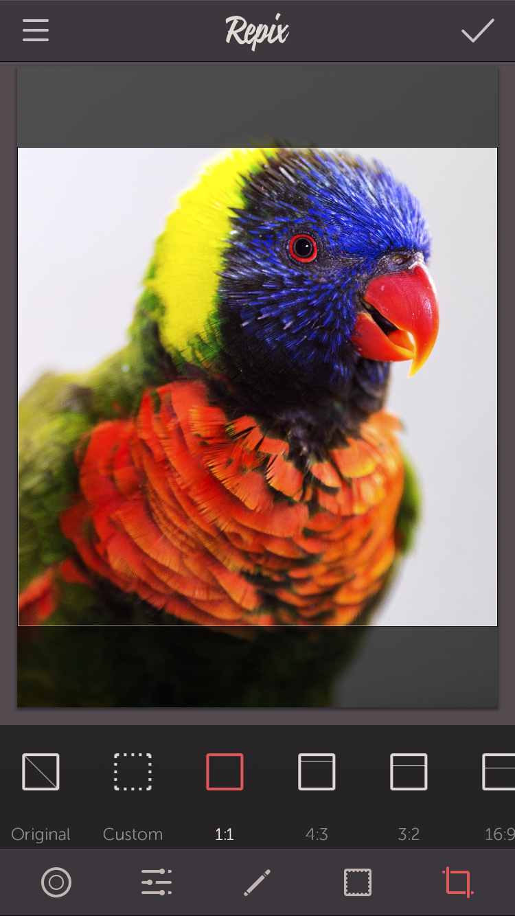 IMG_4176.PNG