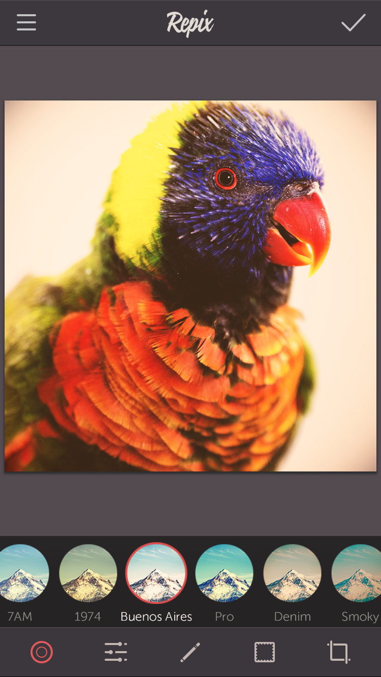 IMG_4177.PNG