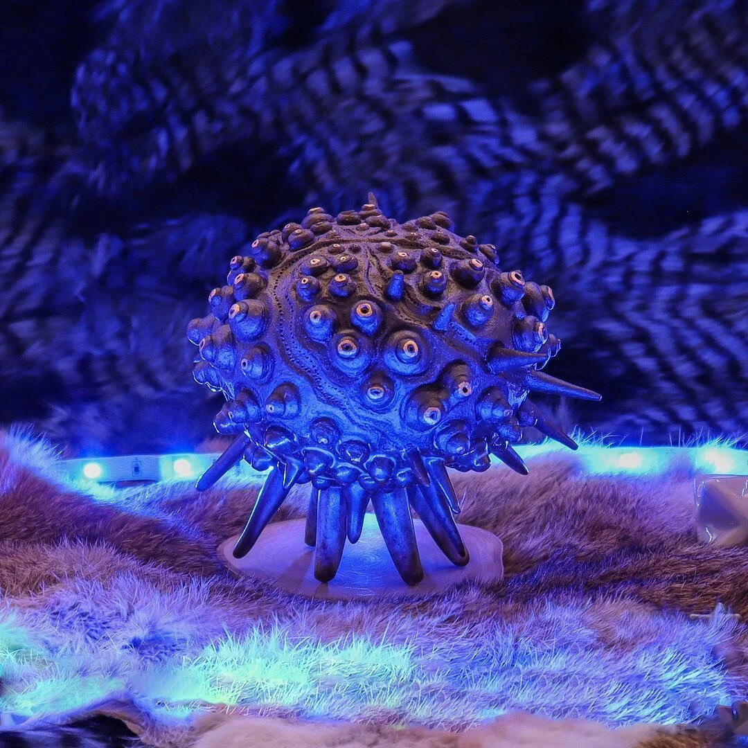 eYES Urchin @GalleryNucleus until April 18th (Alhambra, CA) 1 or 2? Which looks right side up?
⠀⠀⠀⠀⠀⠀⠀⠀⠀
I fell in love with the sputnik sea urchin (swipe to end to see), the many mounds looking back like little eyes - a figurative godhead. Did you k