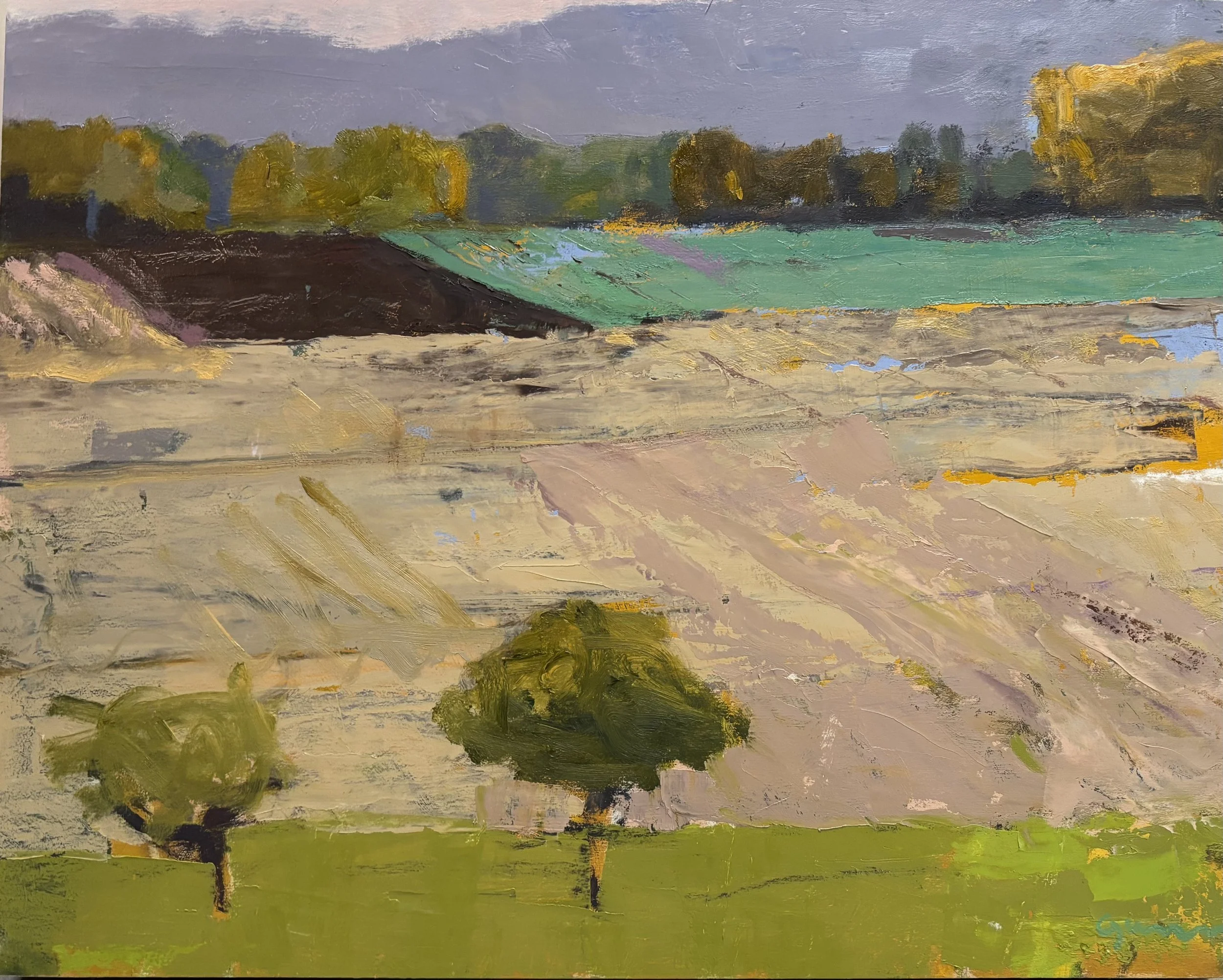 Coming Across the Barren Fields 16" x 20" oil on panel, 2025