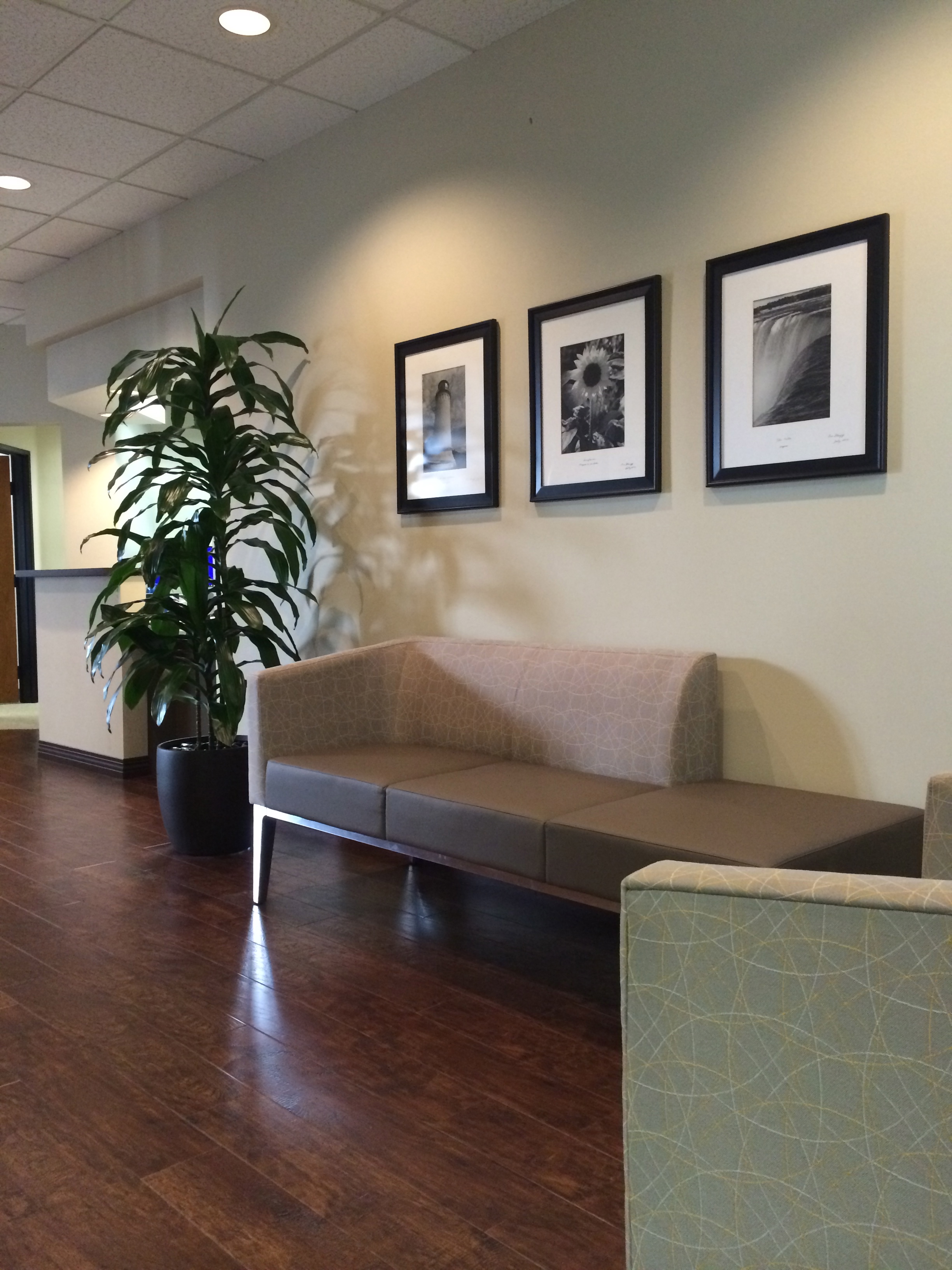 A completely updated Reception Area