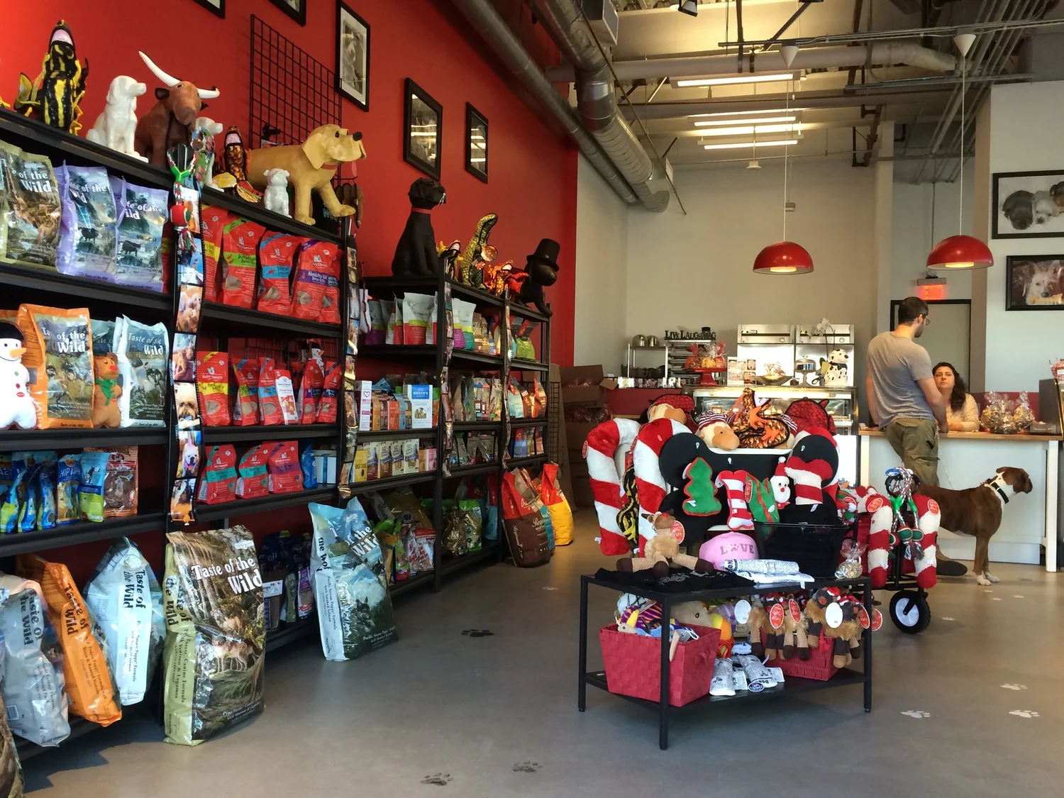 Top Dog Barkery — BNA DESIGN
