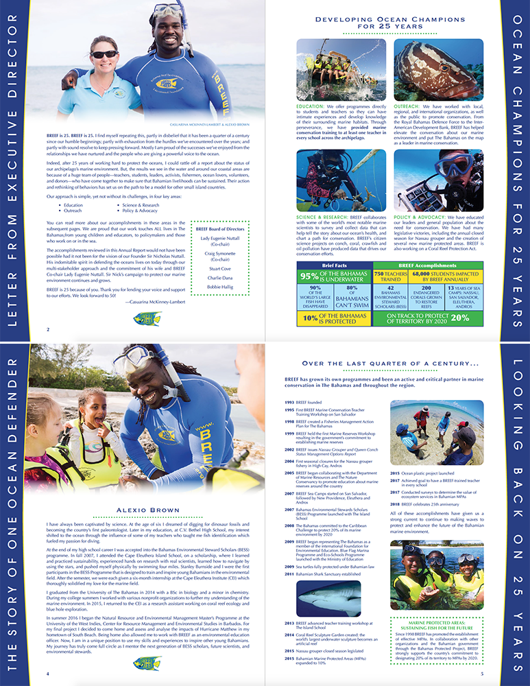 8-Page Report Brochure, spreads
