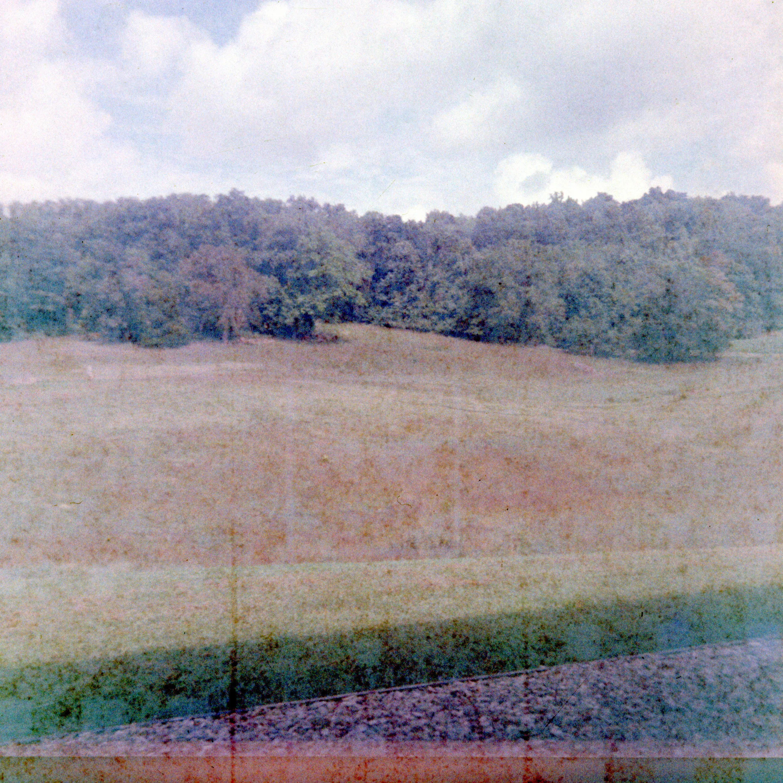  Two (c) Rob McDonald 