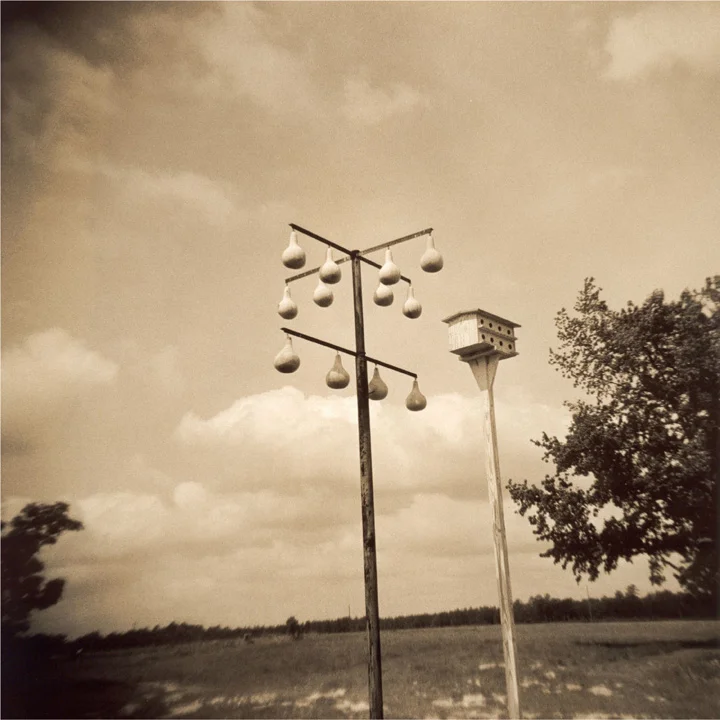 McDonald - Options (for William Christenberry).jpg