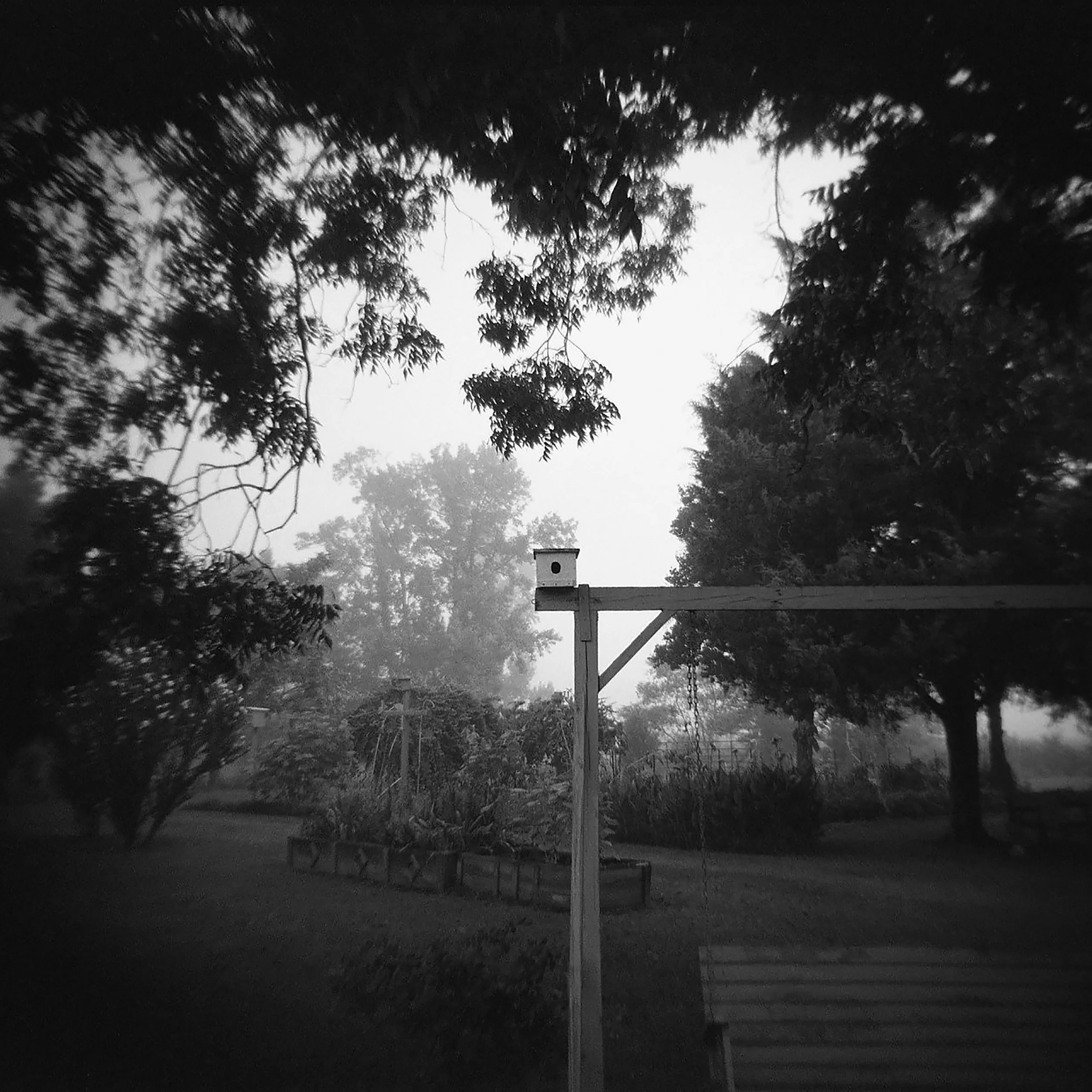 "Sanctuary" @ ArtFields 2026