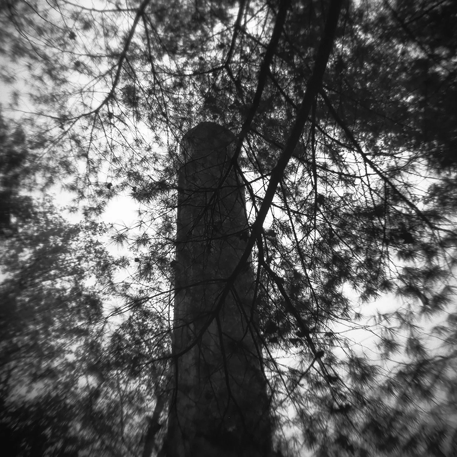 CTBM 3-12 - 5x5 - hires.jpg