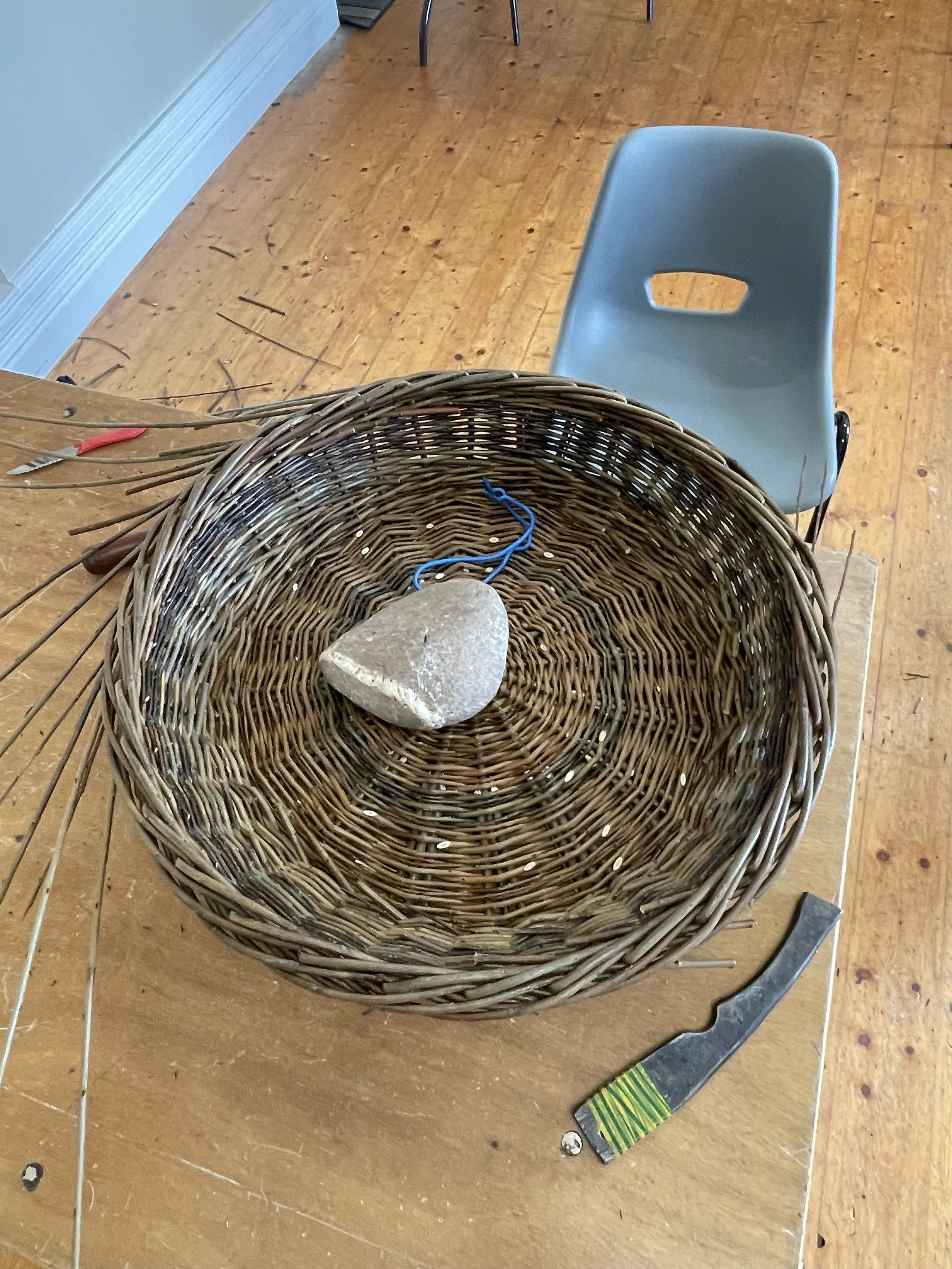 Willow Basketry 101