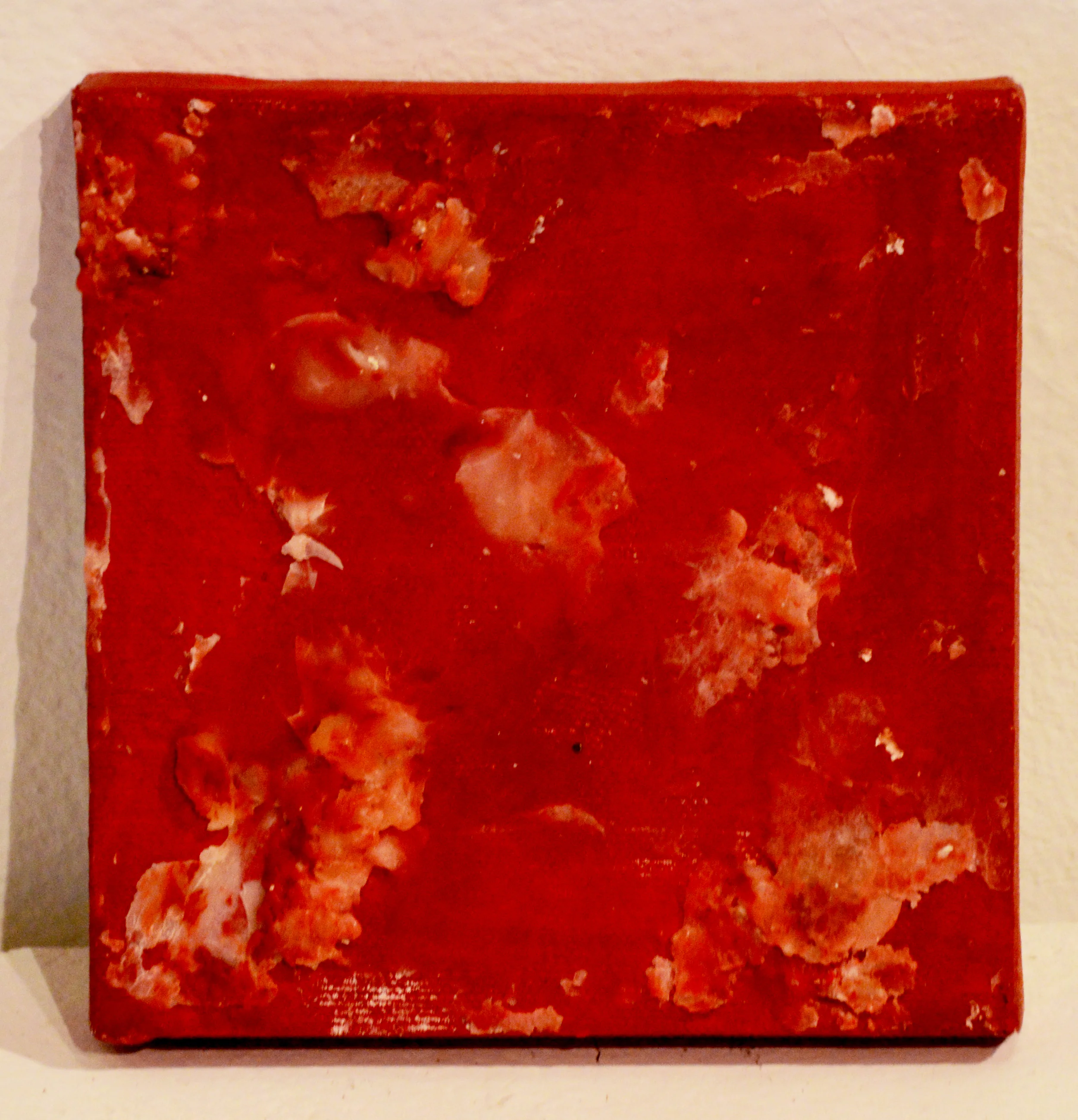 Nancy Azara, Clouds in Red