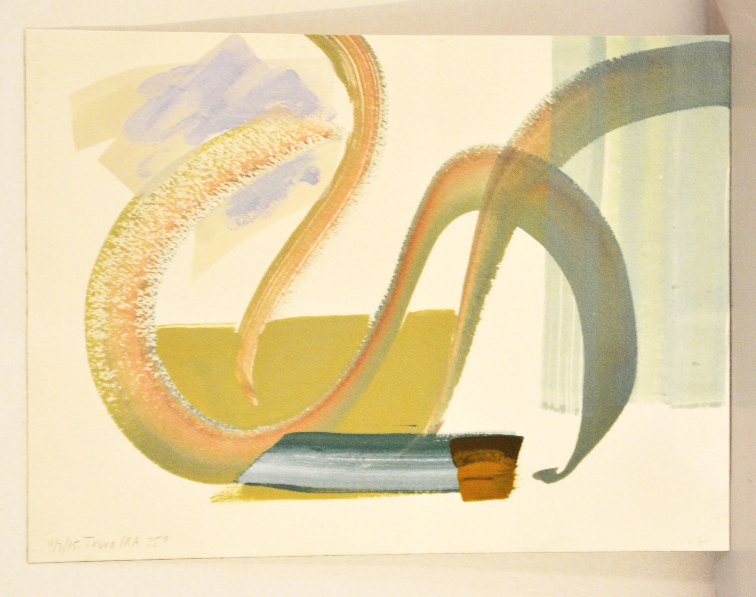 Mike Glier, Evening Ballston Beach, Truro, MA 75F Value: $300 Minimum bid: $100