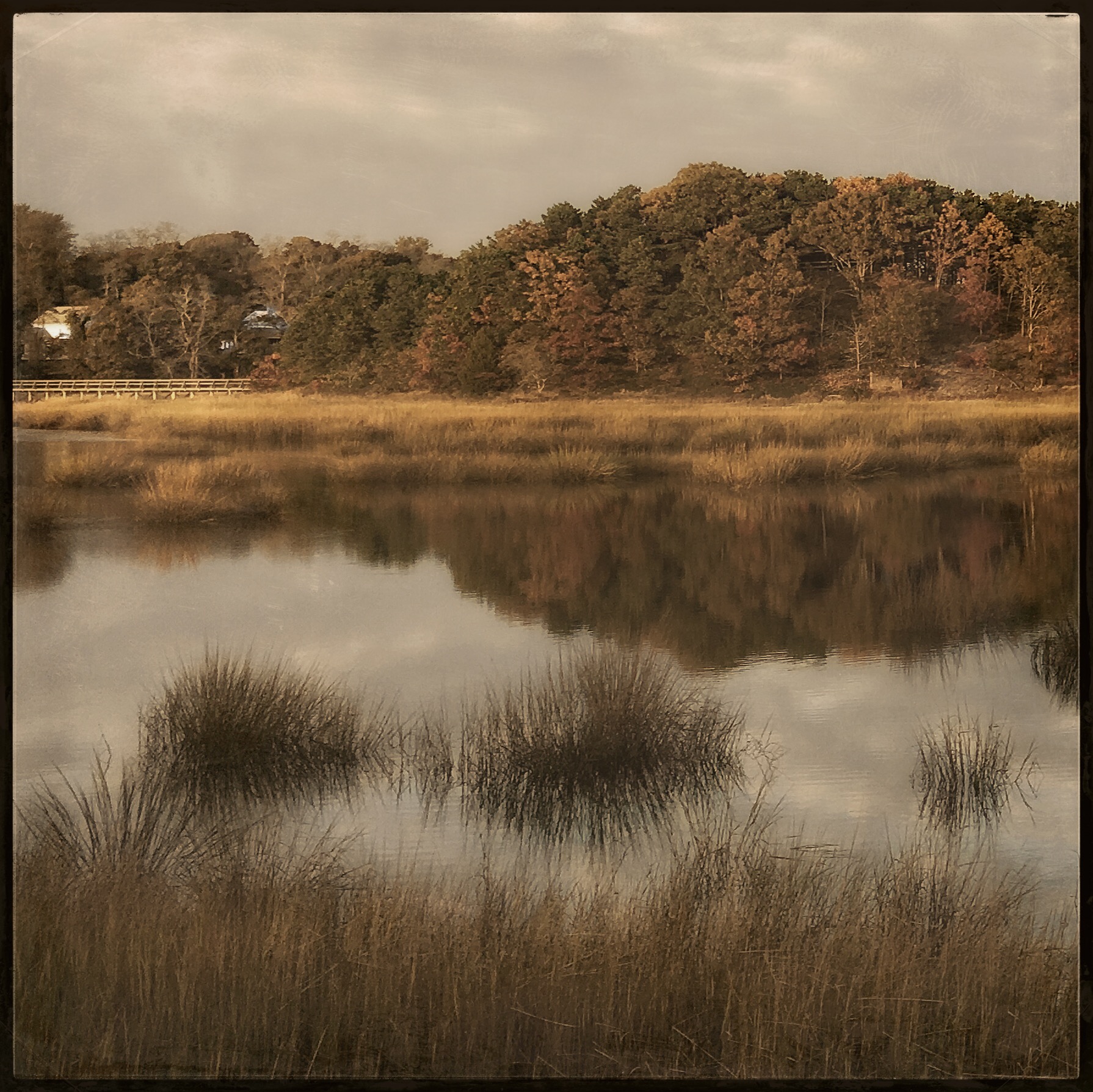 Wellfleet Tidal Marsh by Rebecca Bruyn