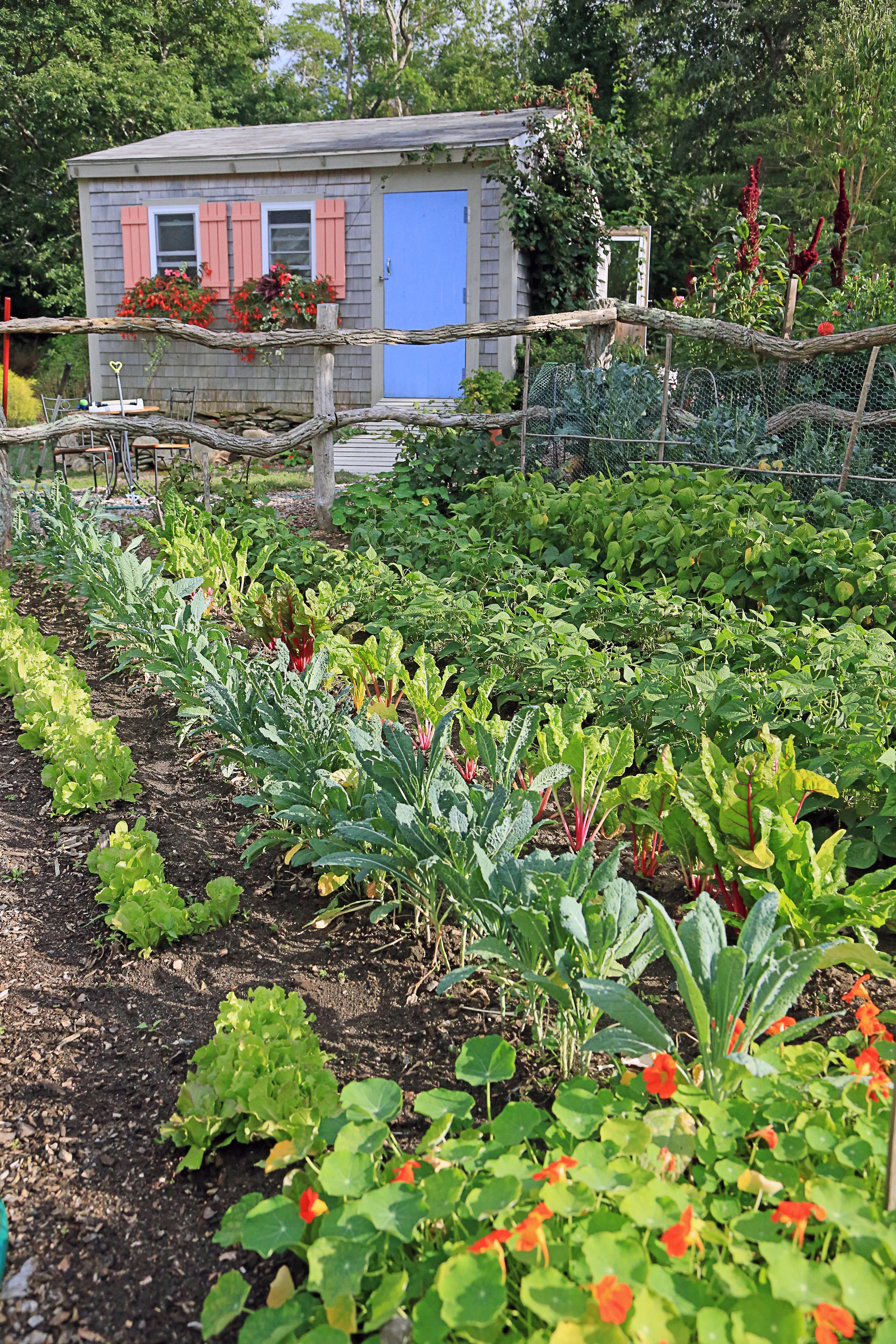 Fornari_garden.jpg