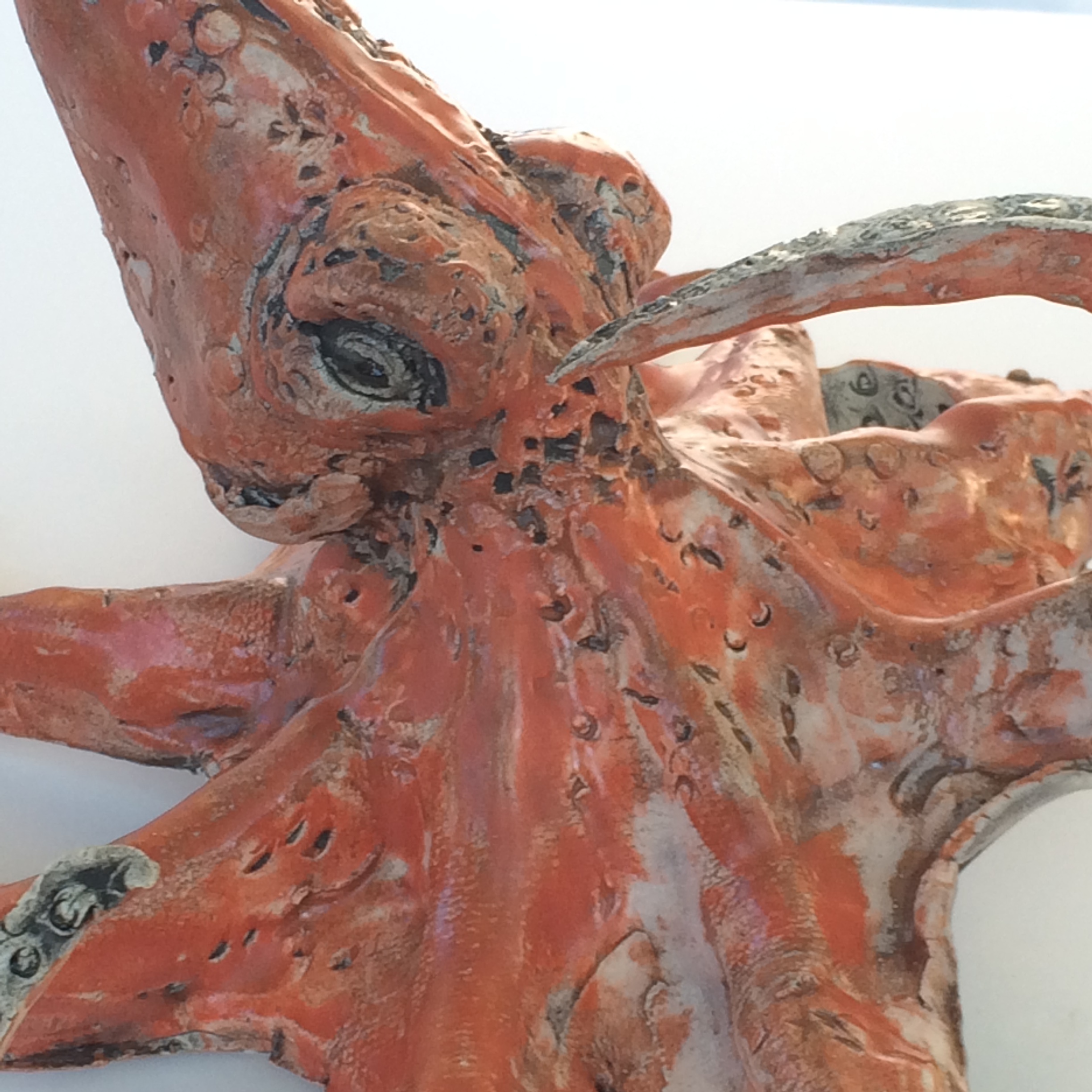Niswonger red squid 2018.jpg