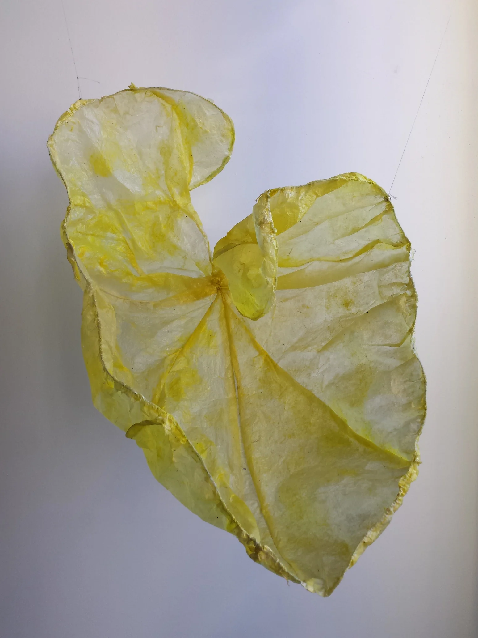 Yellow Leaf, Sheryl Jaffe