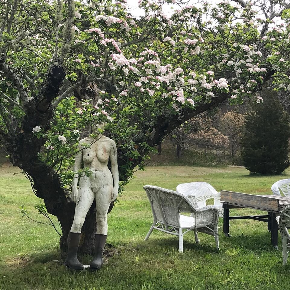 Apple Tree and woman.jpg