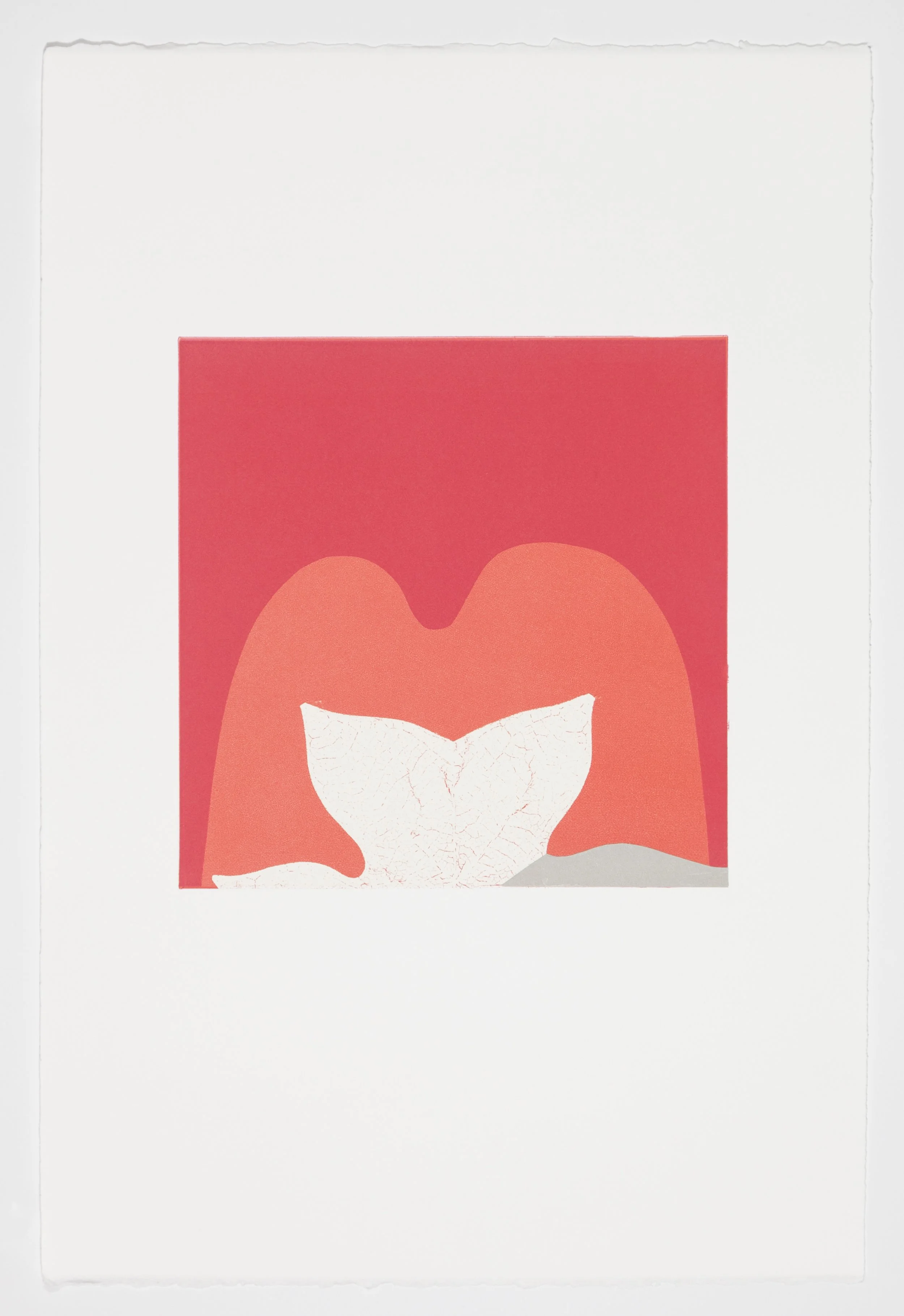 Mixology: Collagraph, Carborundum & Monotype