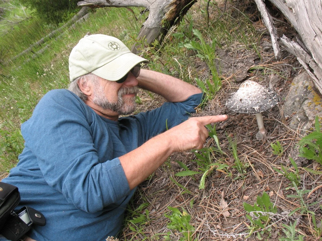 Meet the Cape's Fungi