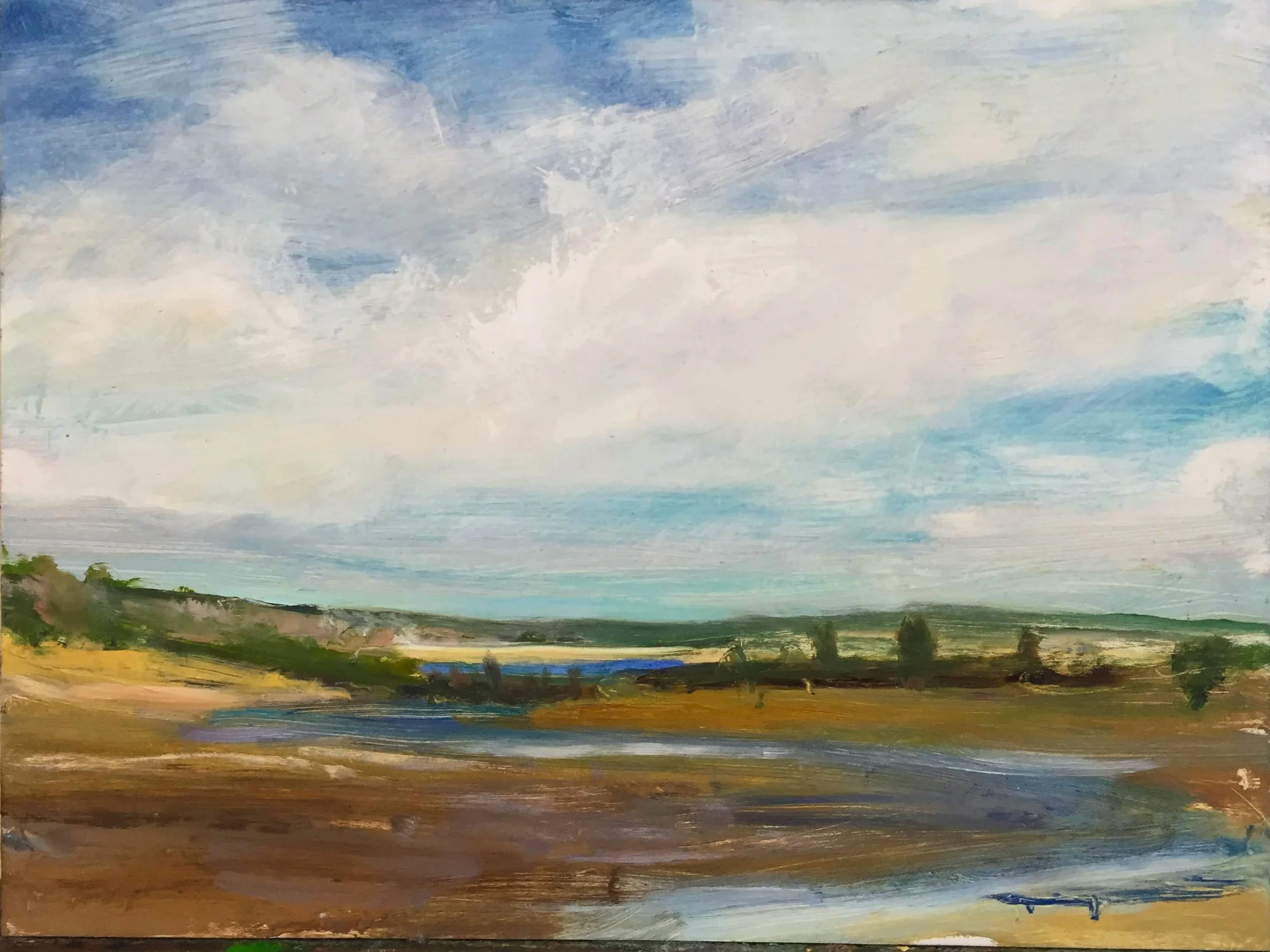 Cape Landscape Painting