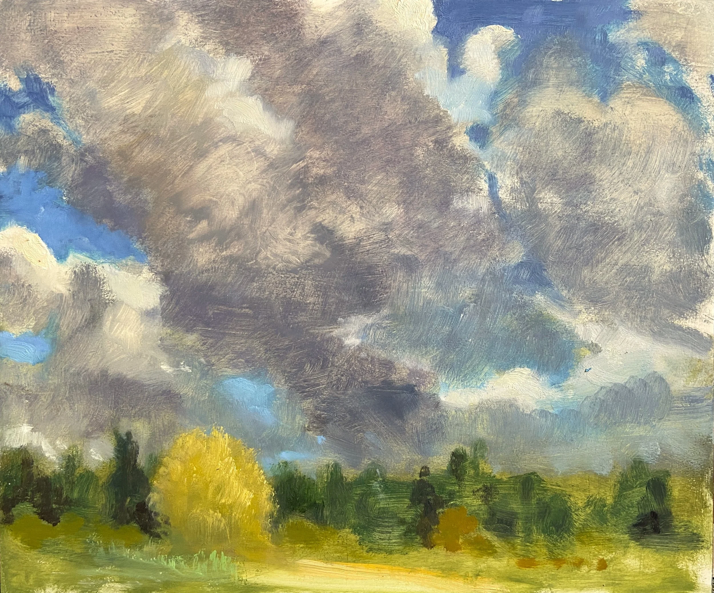 Plein Air: Cape Landscape Painting