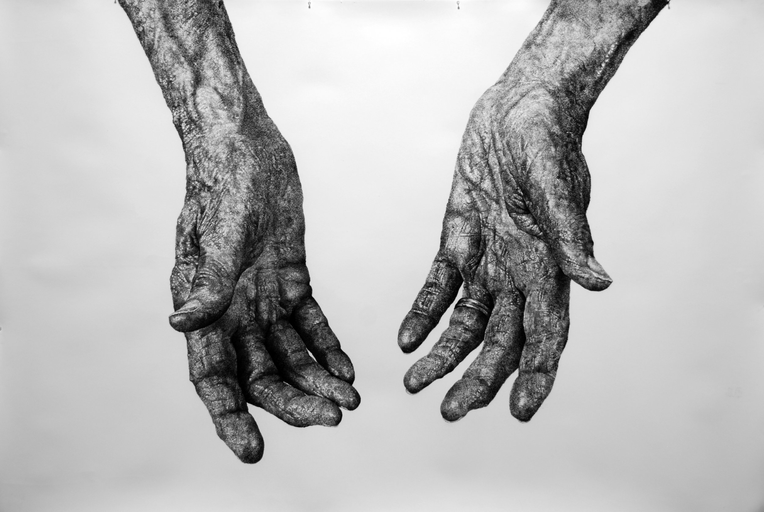 Observational Drawing: What We Are Looking For Is The Looking Itself