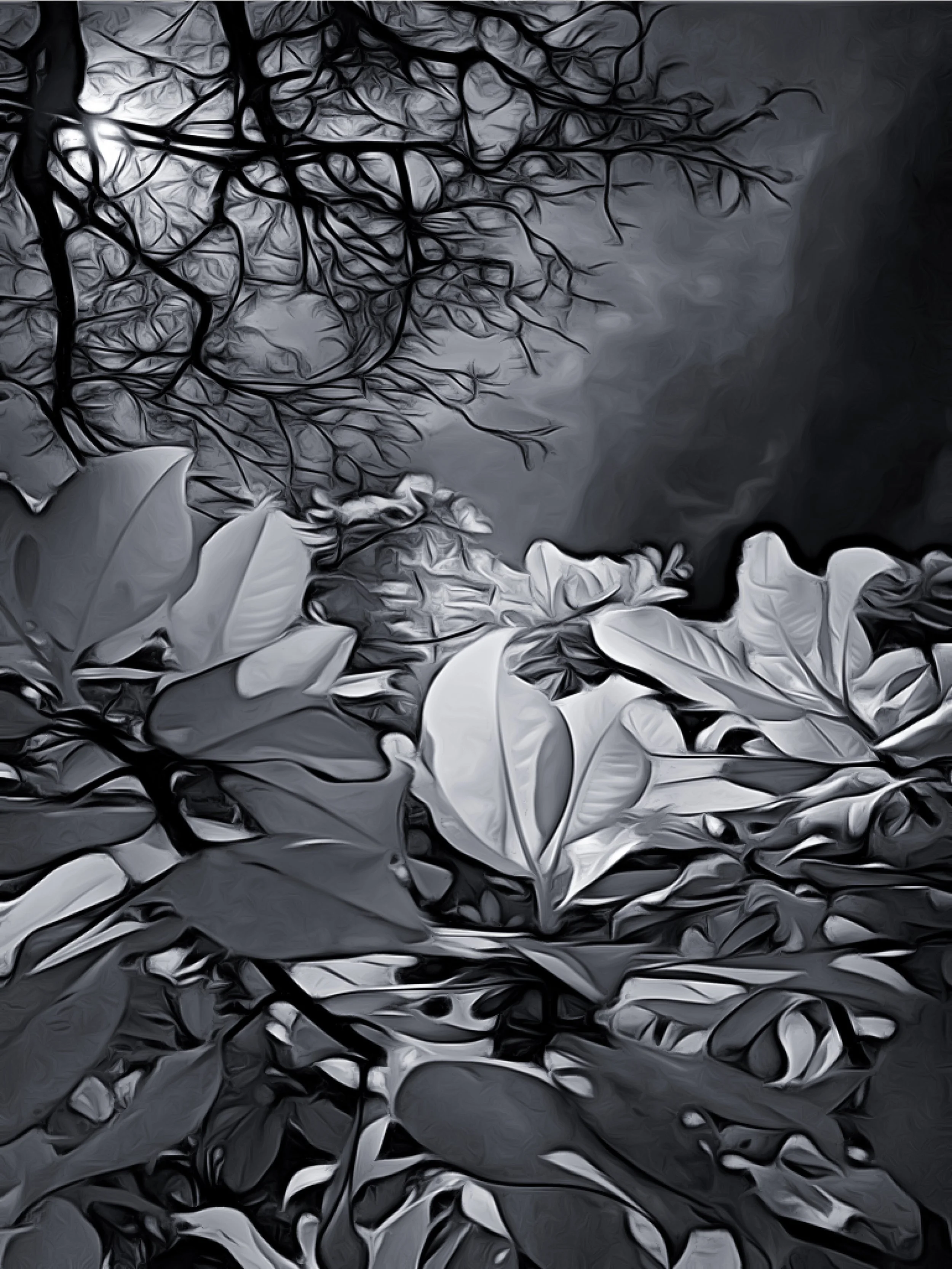 Crafting Infrared Images with your iPhone