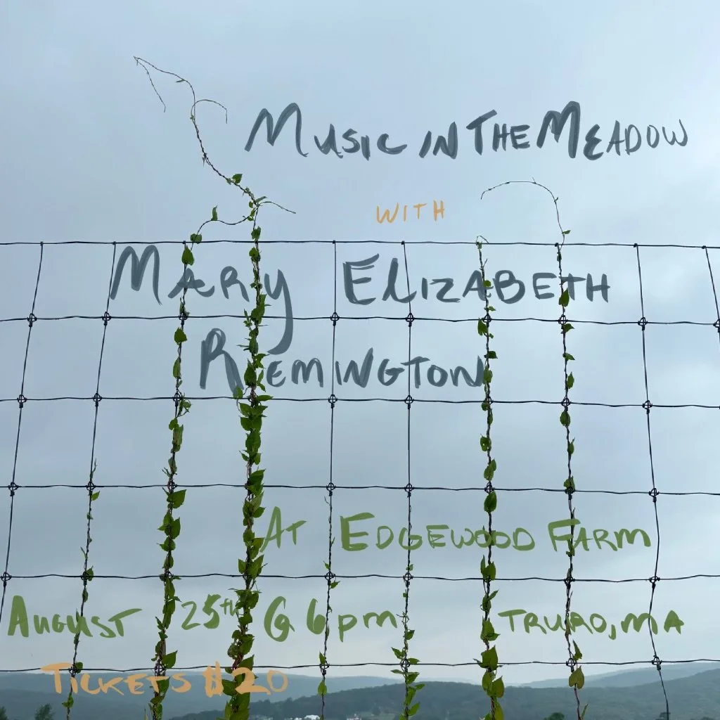 Music in the Meadow with Mary Elizabeth Remington