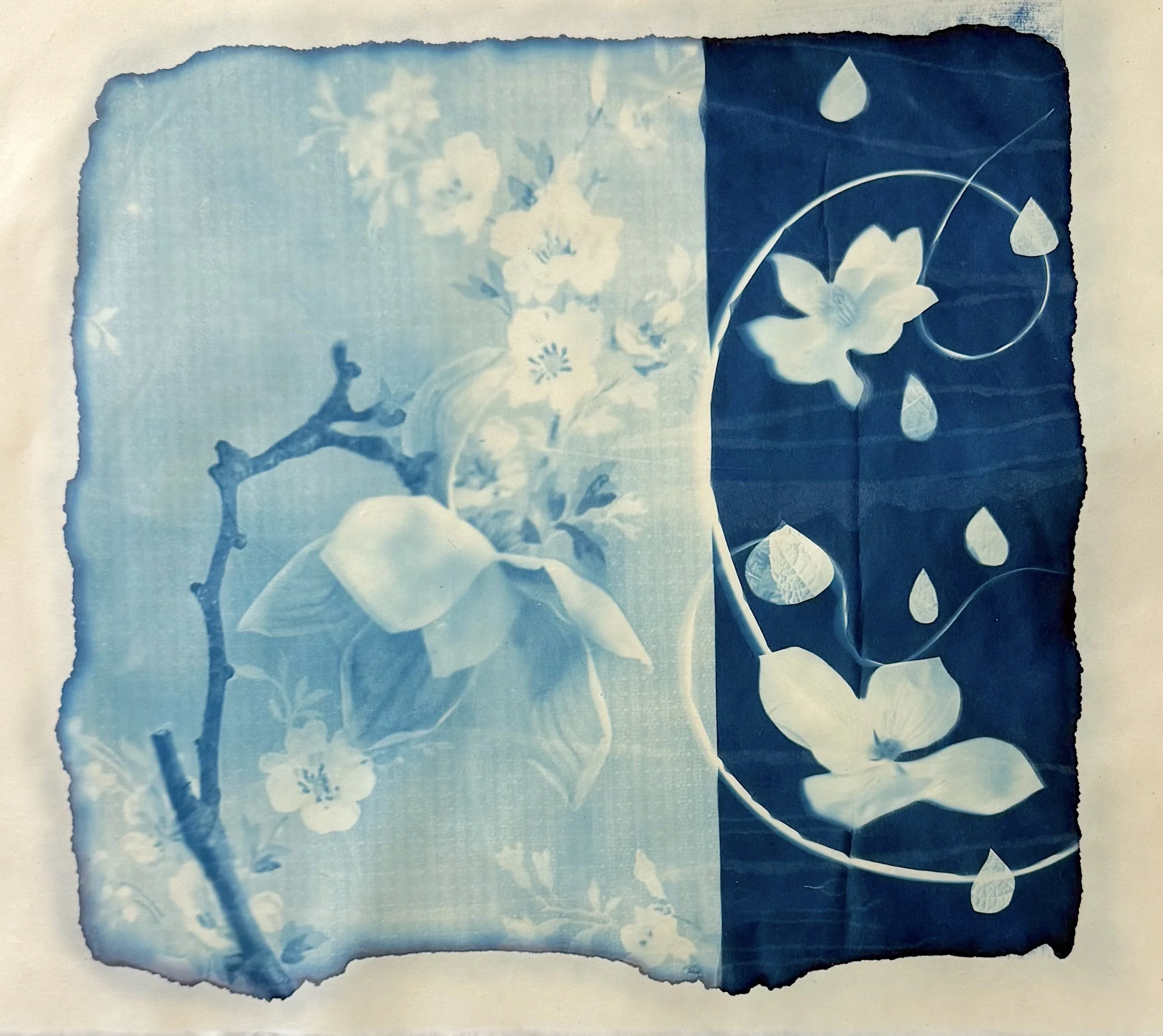 Next Level Cyanotype