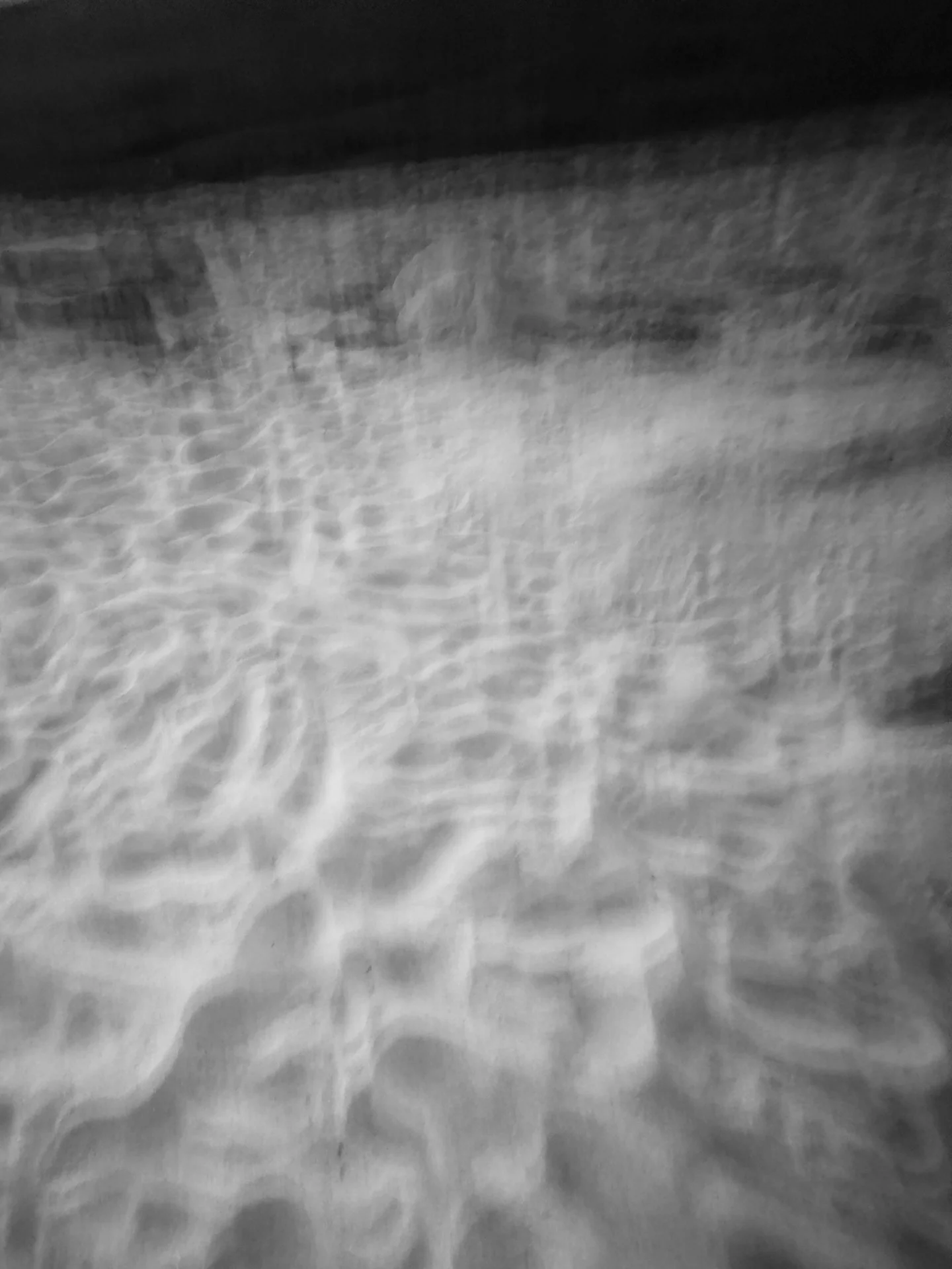 Moving Light: Creative Expression Through Intentional Camera Movement 