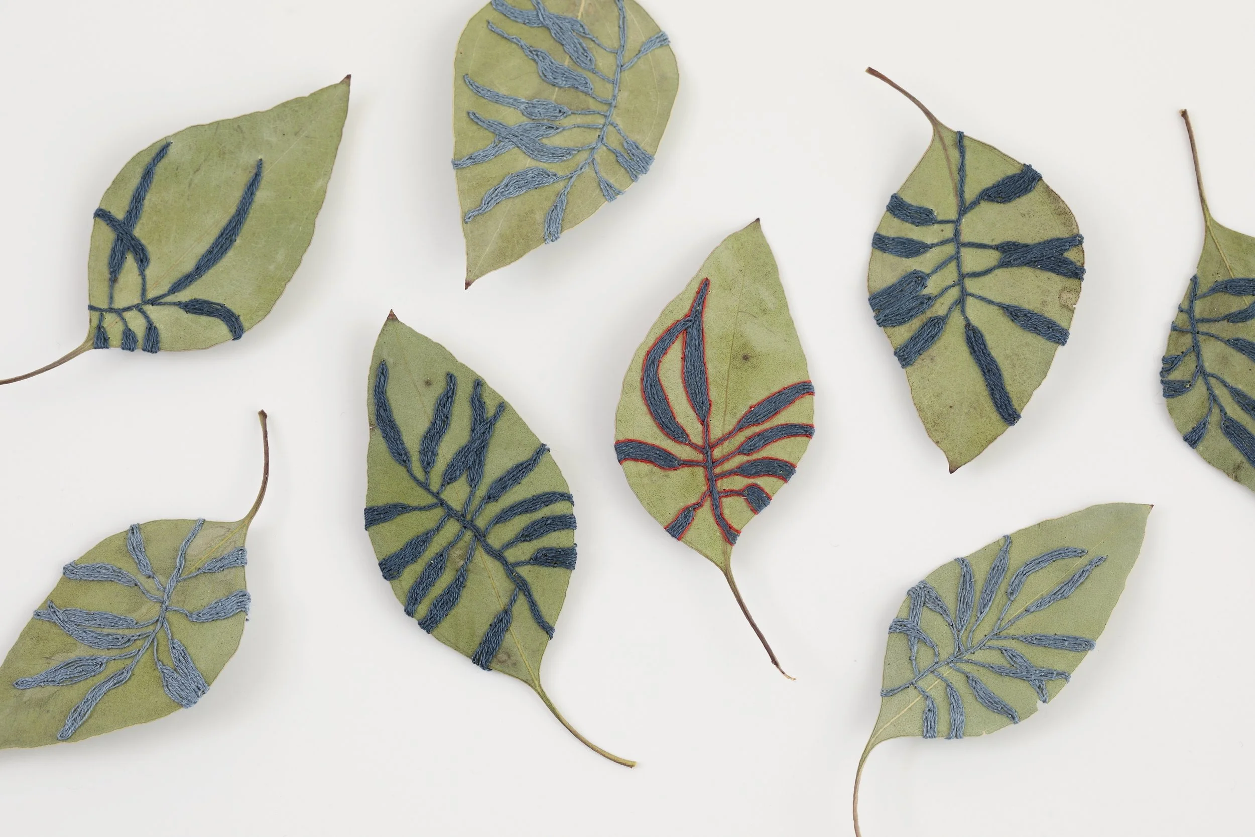 Wild Threads: Stitching Beyond Tradition